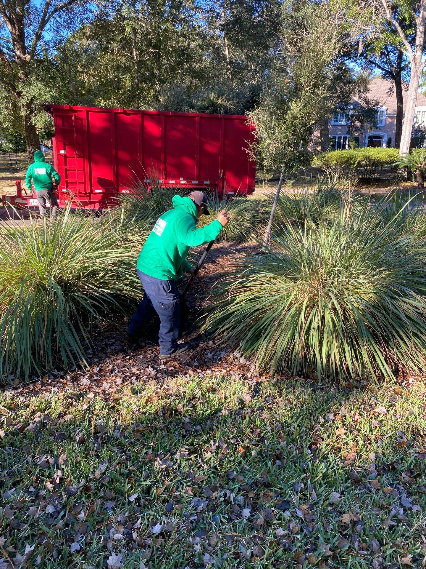 Deerwood Community | Oak Tree Replacement Project by ProGreen Services