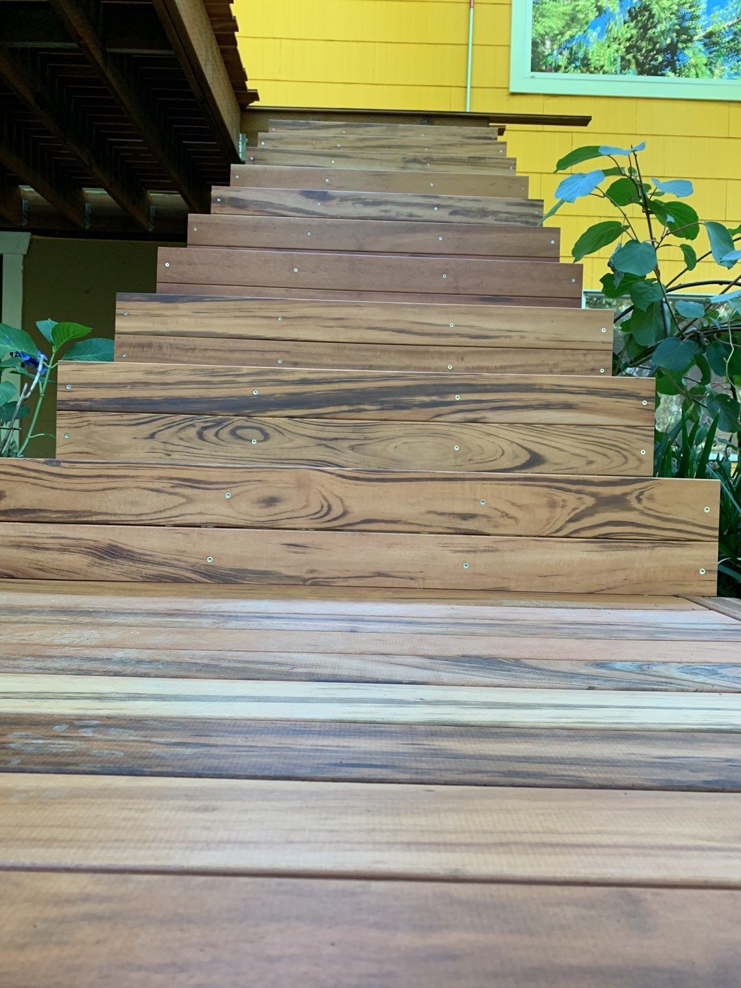 Tigerwood Masterpiece by Alki deck builders 