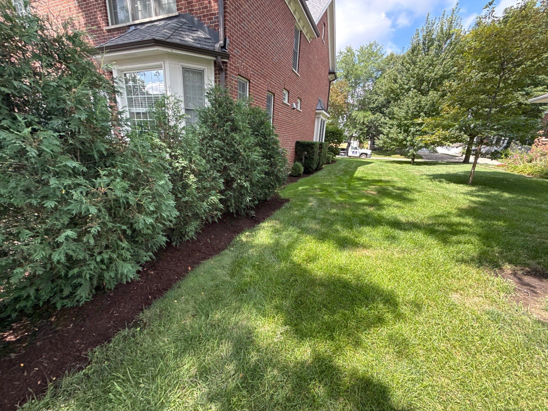 Jason G. - Arlington Heights, IL by A&N