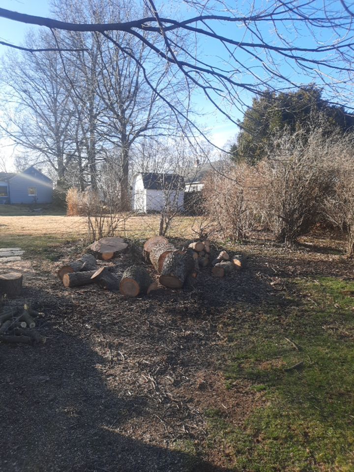 Tree Removal using Tree Removal by Mike Jones & Sons Tree Service LLC 