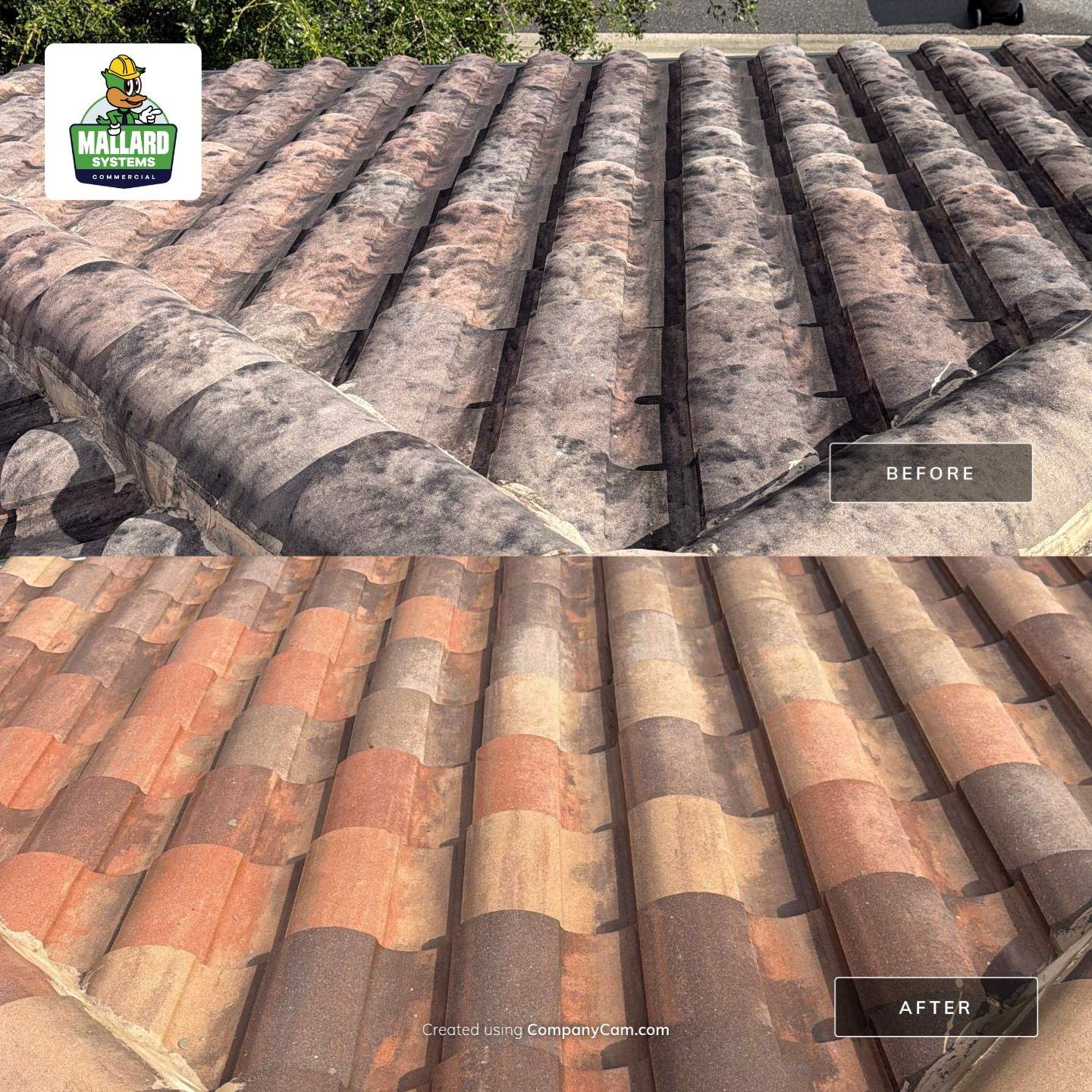 Tile Roof and Concrete Cleaning in Gotha by Mallard Systems