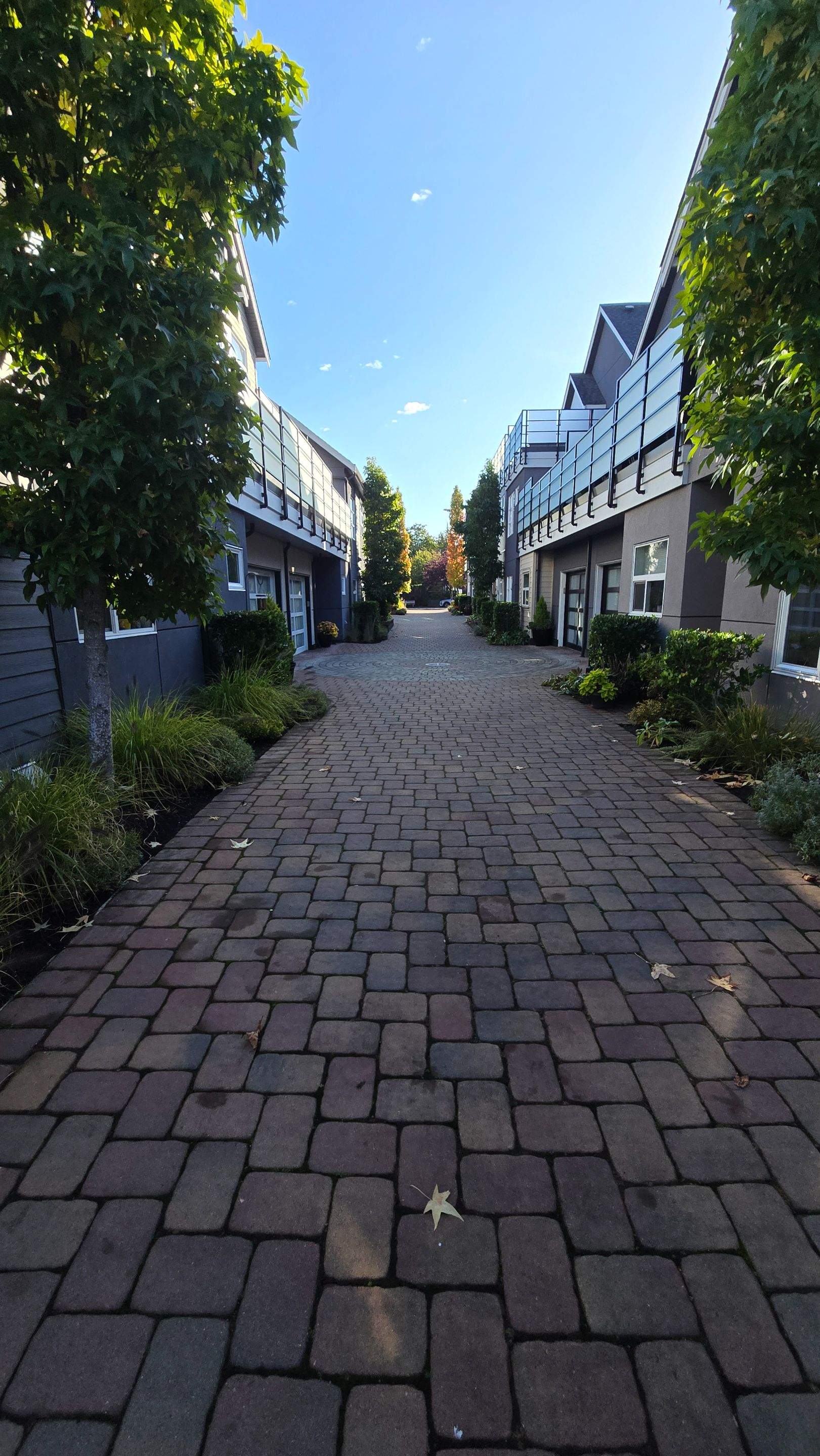 Sea Haven — Year-Round Strata Landscape Care by Habanero Landscape Solutions