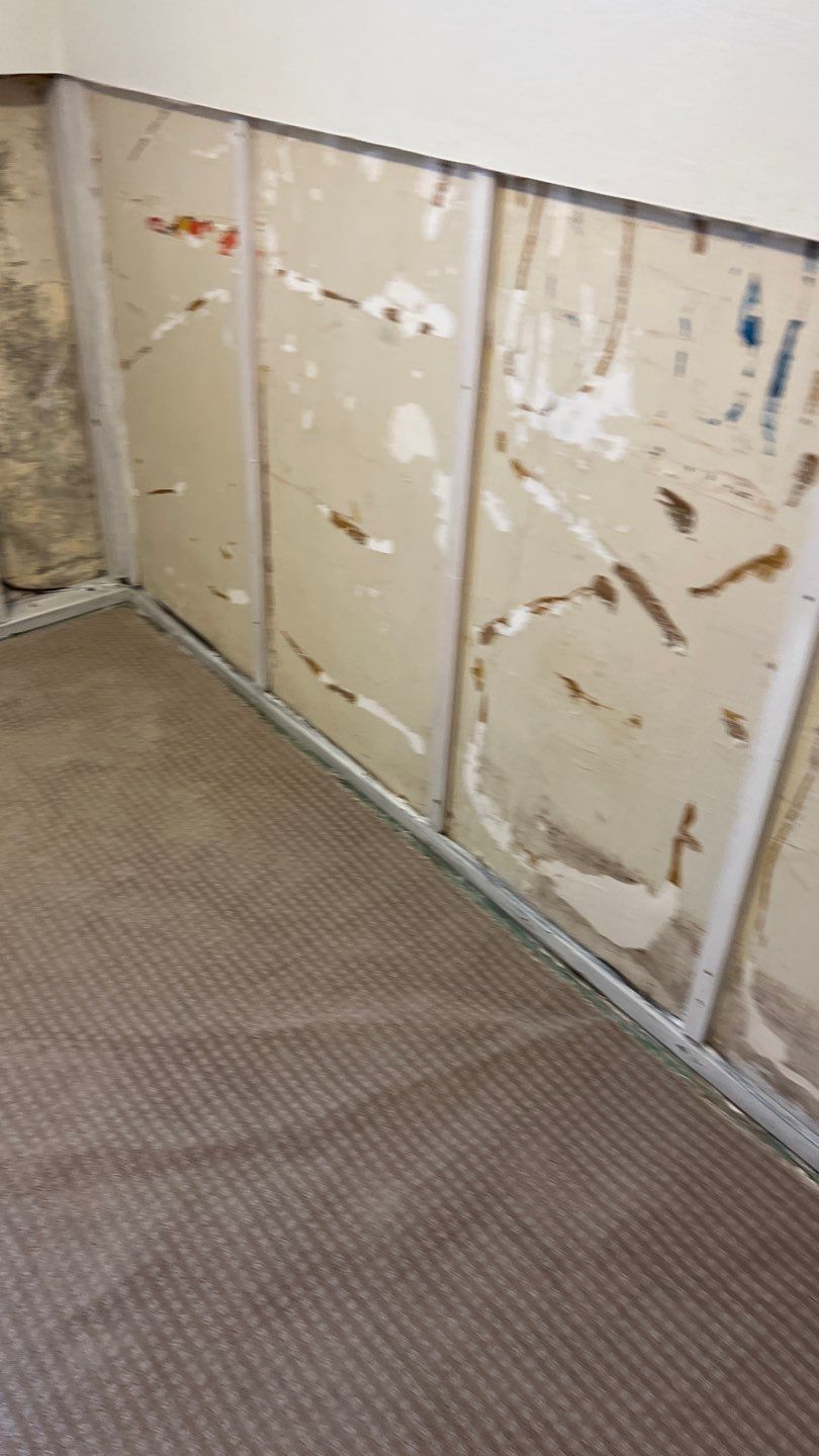 Mold Remediation by Accountable Home Services