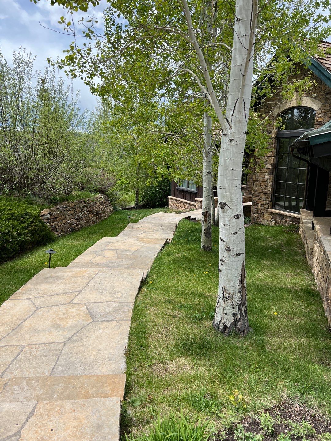 Project in Snowmass Village by Roaring Fork Property Group 