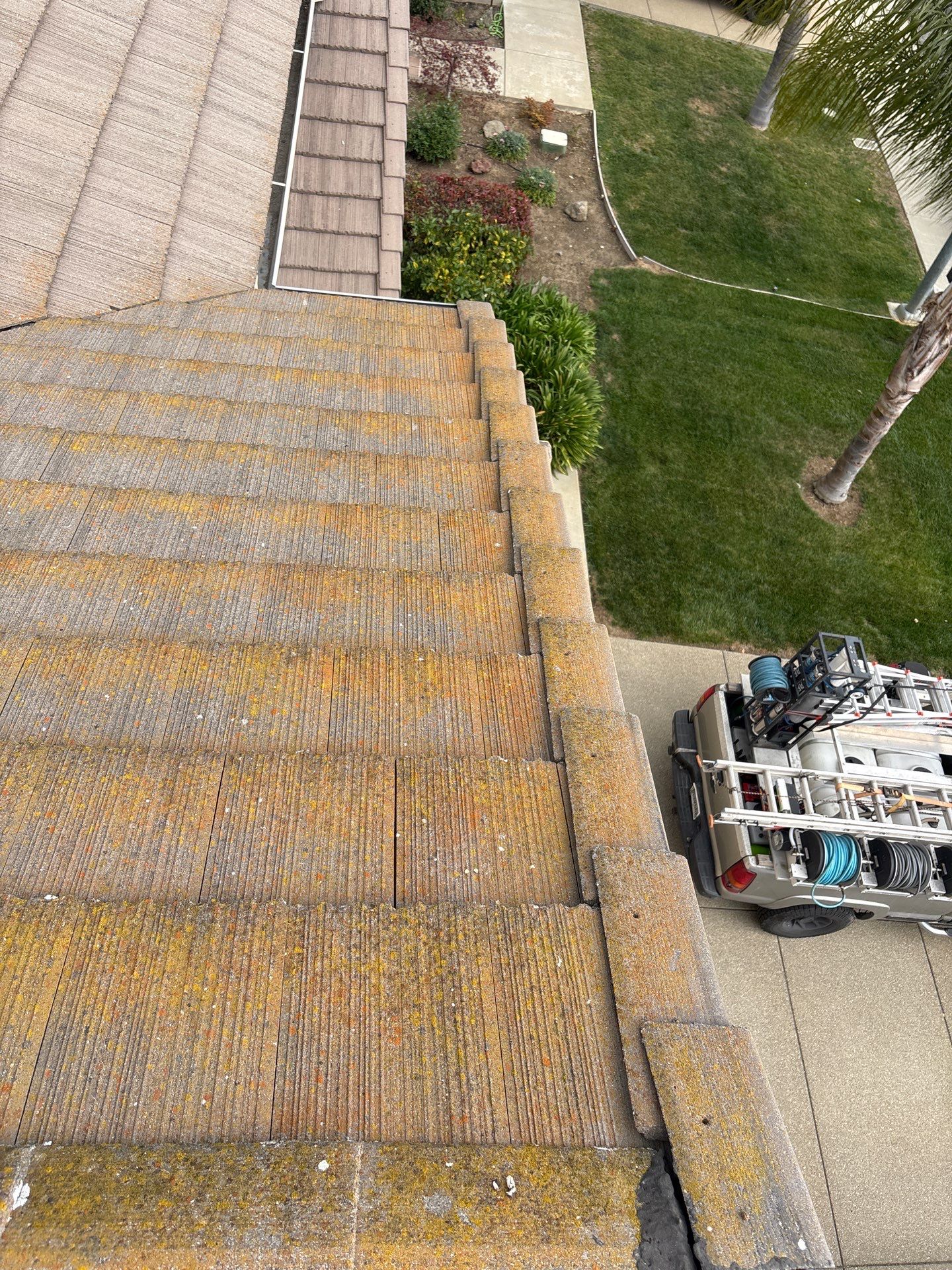 Moss Removal by Top Elevation