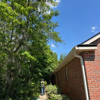Deerwood Resident | Tree Trimming