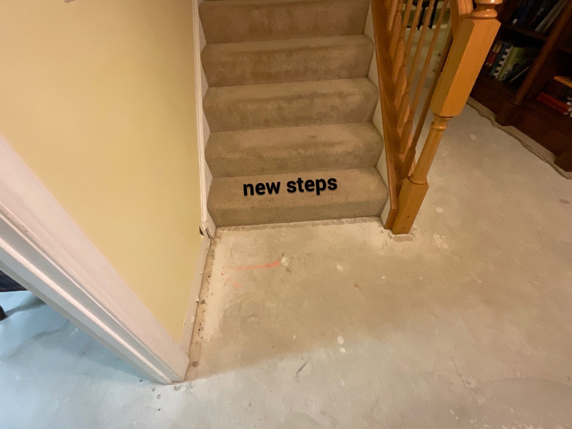 New Gutters, New Floor, New steps, New Paint job by Alpha Design Services