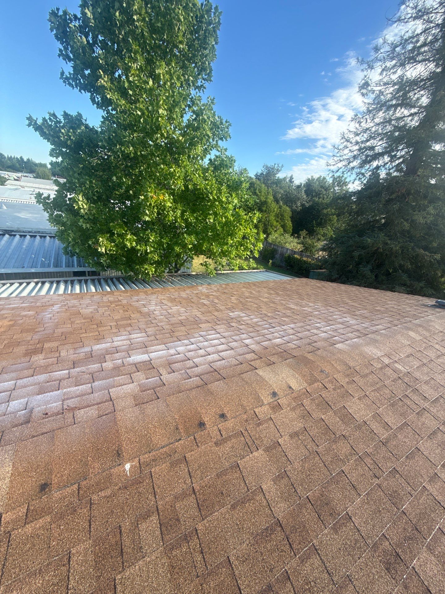 Roof Rejuvenation using Roof Maxx Treatment by Roof Maxx of Folsom