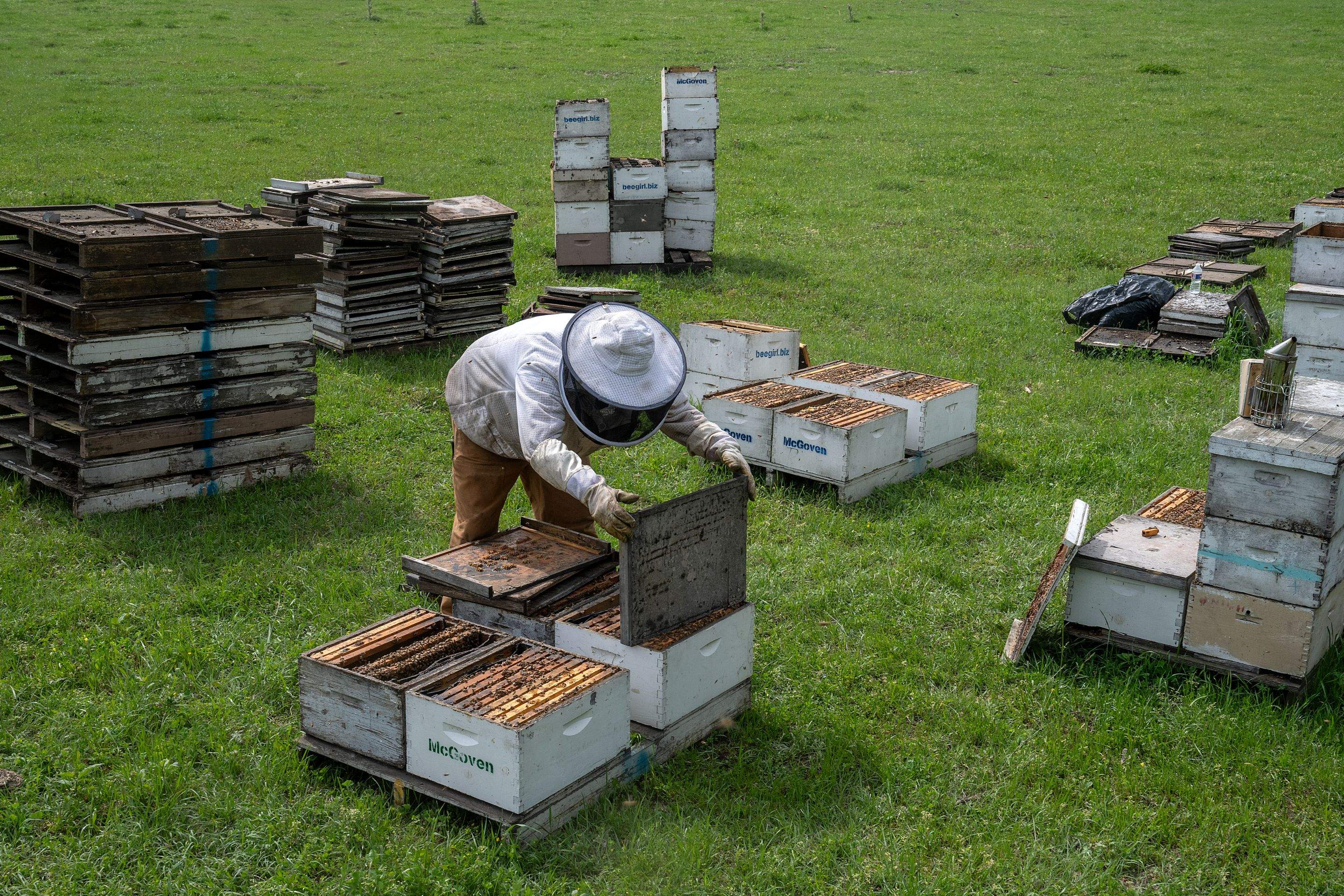 Splits in East Texas by Rockwall Honey Bee Company