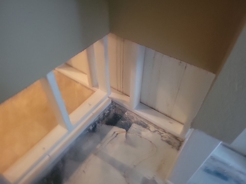 Mold Damage by Accountable Home Services