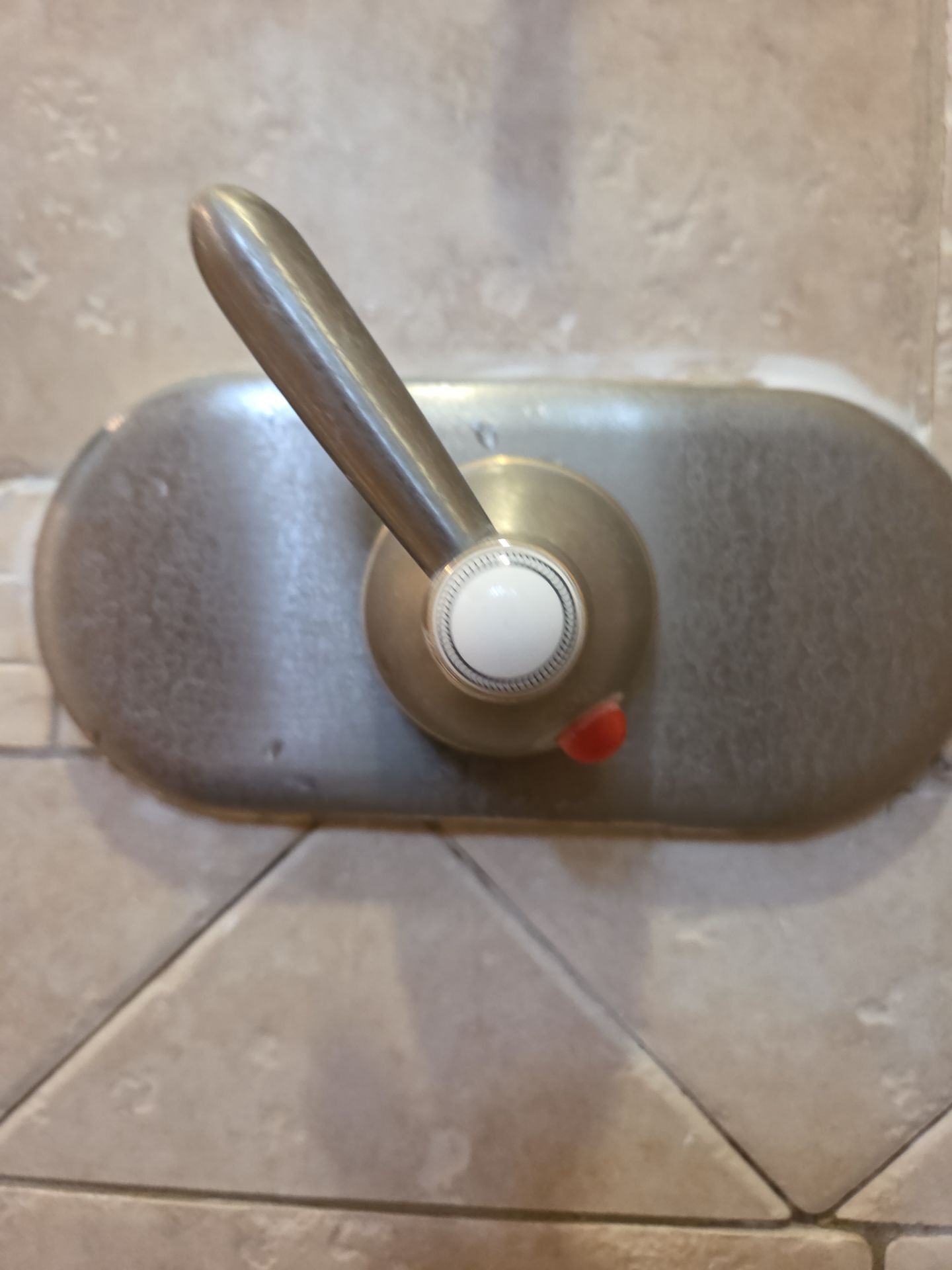 Shower Repair by Professional Plumbing Inc 