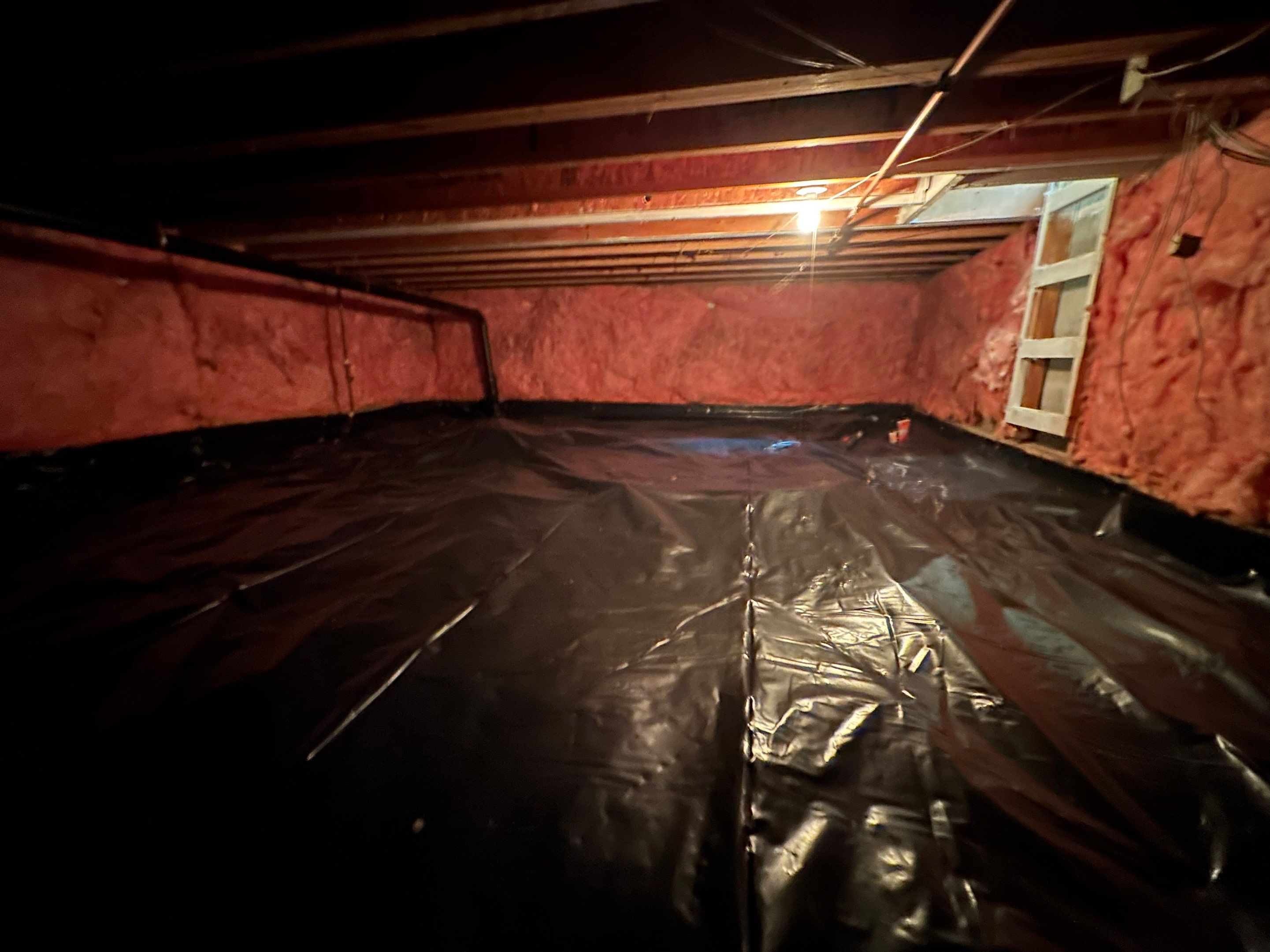 Mold Removal in Brighton, CO by Alpha Restoration 