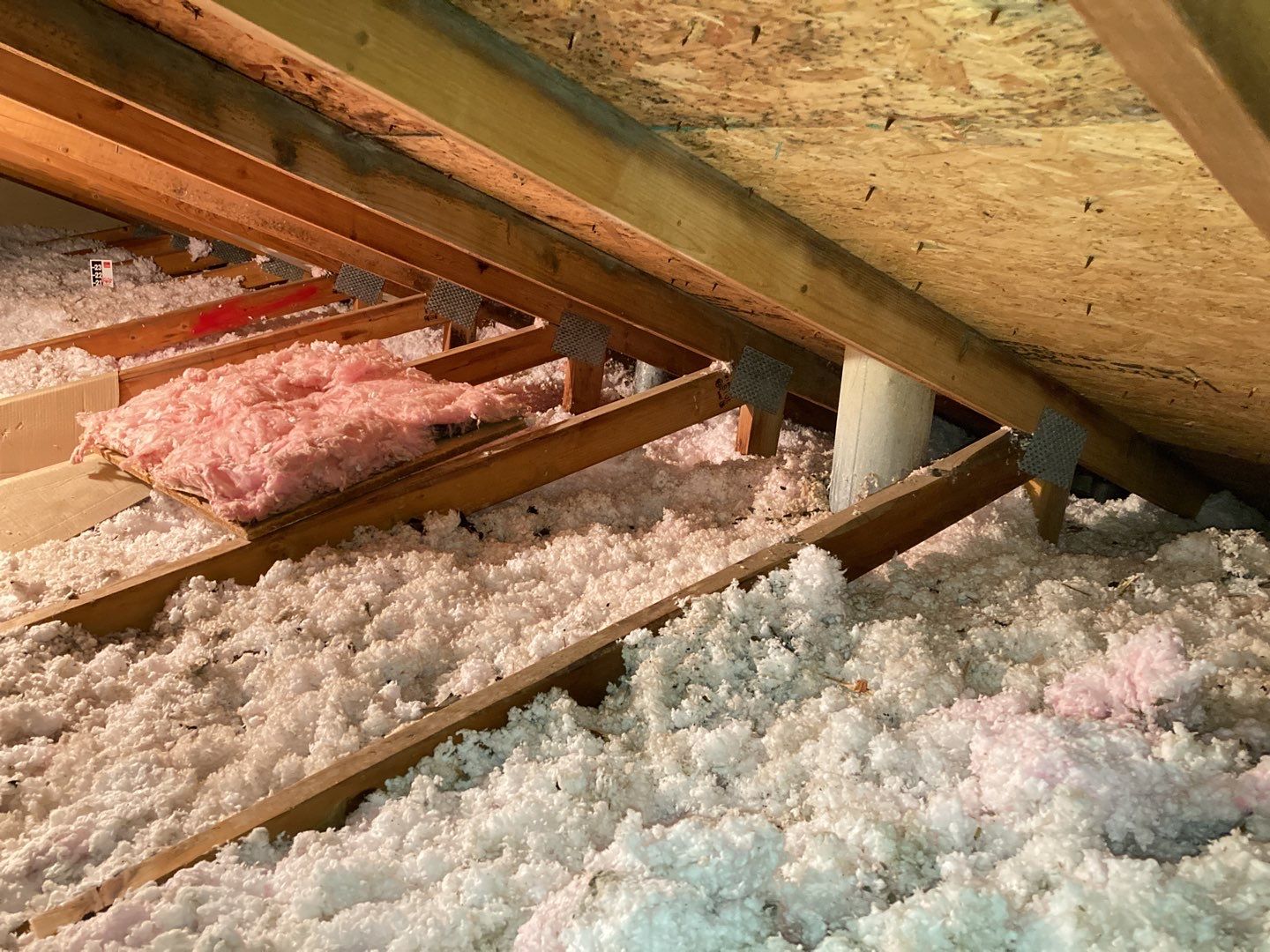 Mold Remediation in Attic by Accountable Home Services