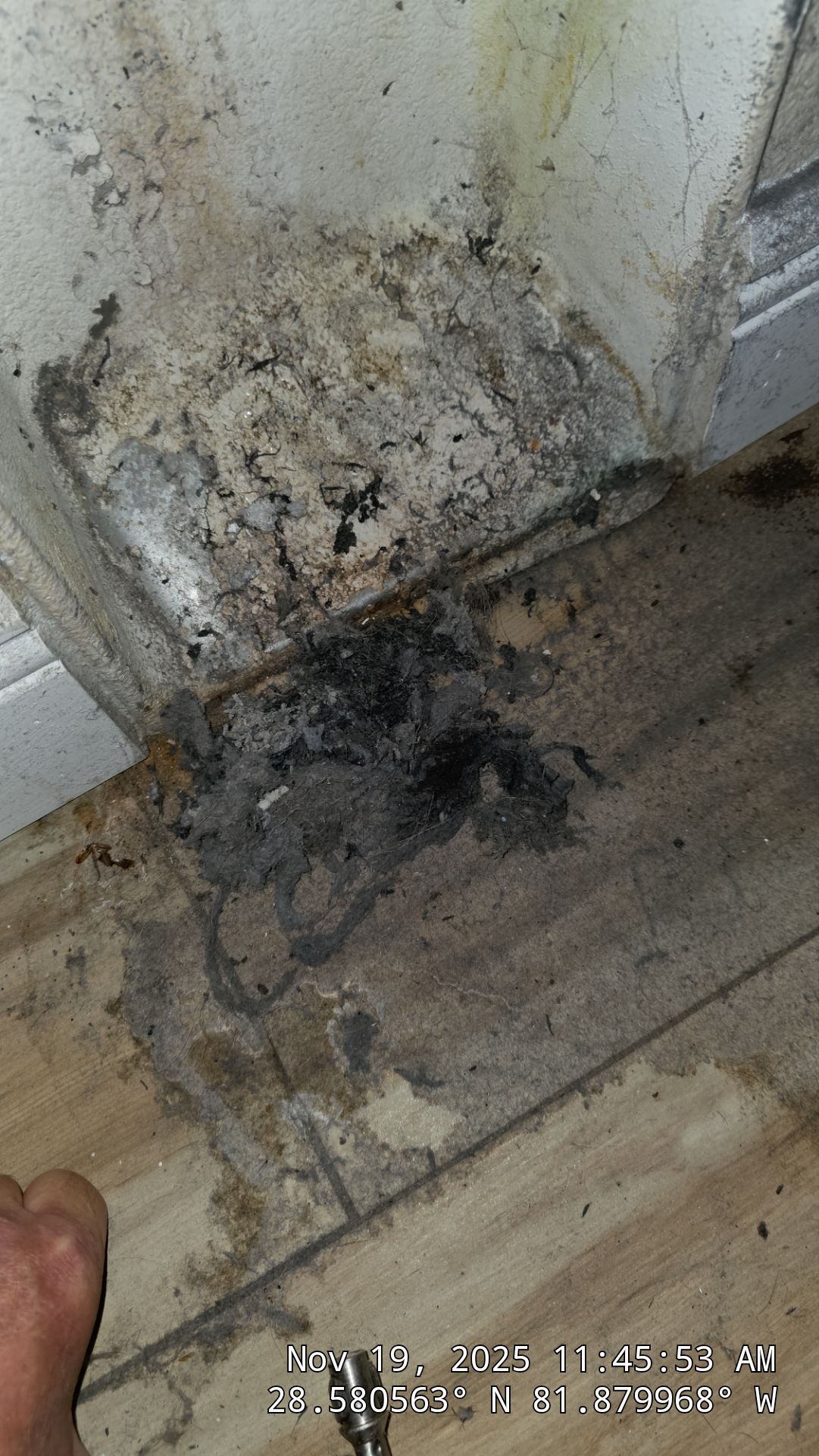 Dryer Vent Cleaning in Mascotte by Hygienic Air, Inc