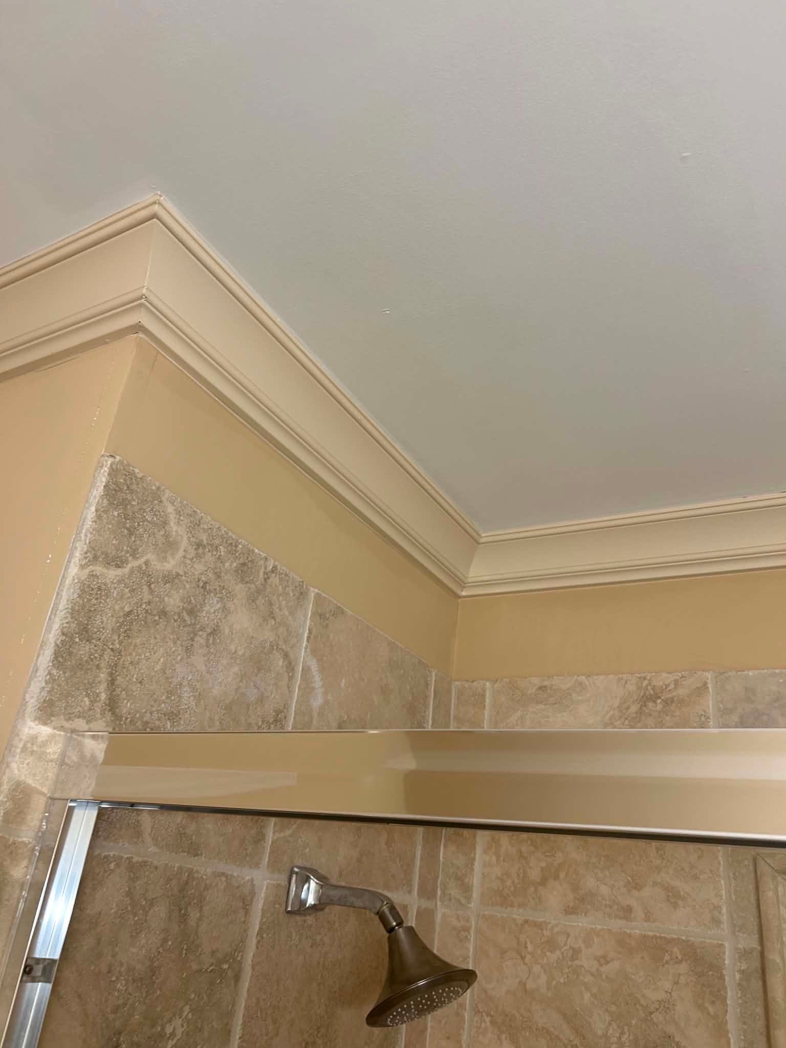 Interior Ceiling Painting & Drywall Repairs by PGP Surface Solutions, LLC