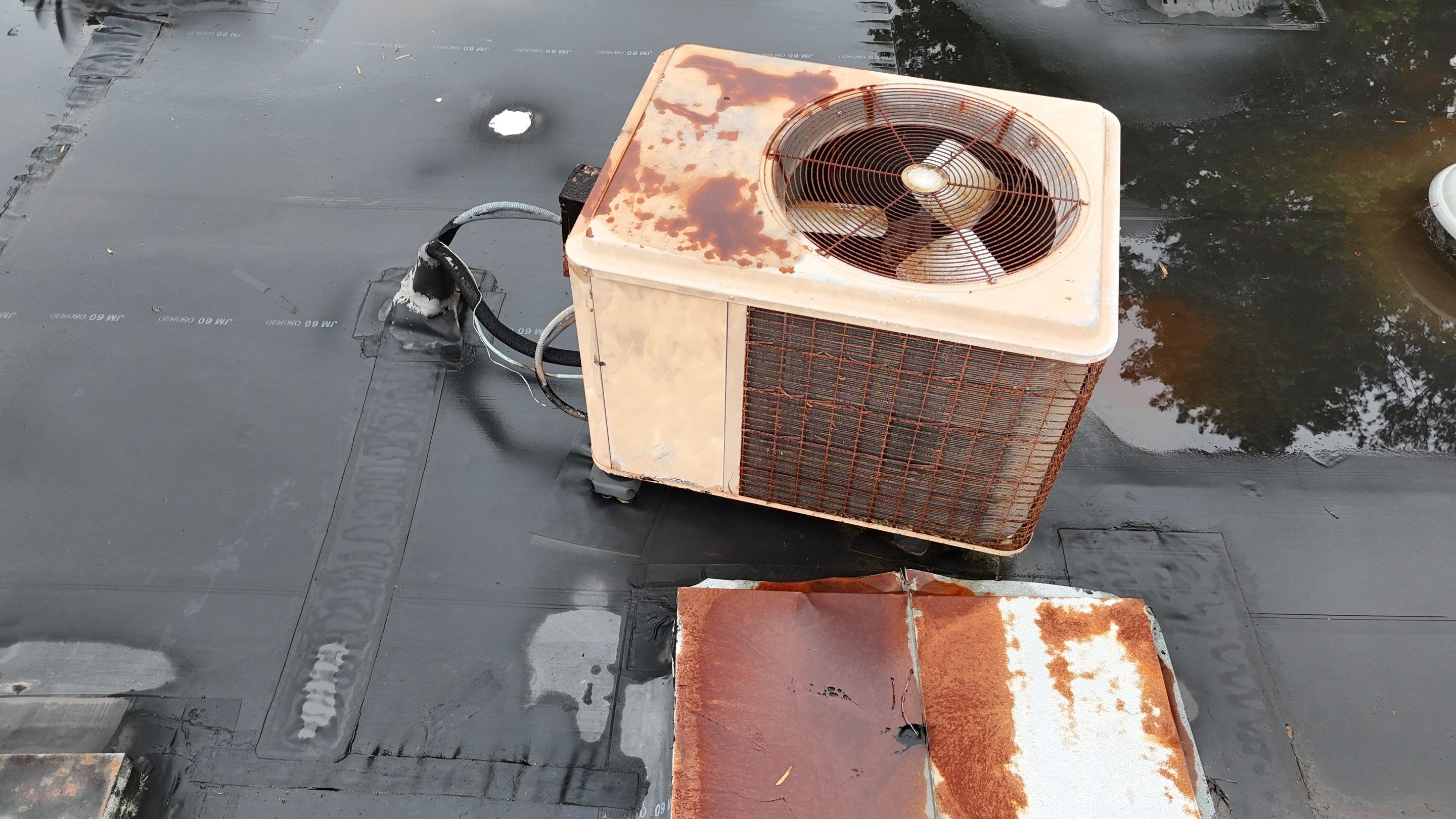 Commercial Flat Top Roof by Roof Bullies
