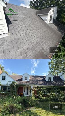 Project in Louisville, KY