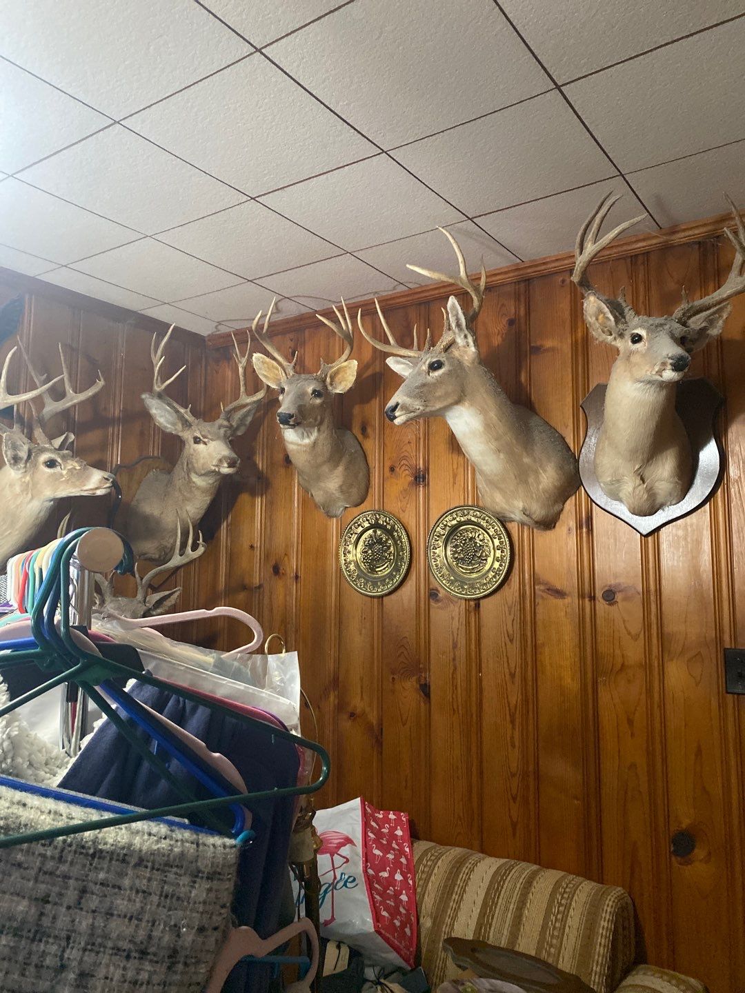 1946 Raleigh Kitchen Remodel — Vintage Charm, Modern Function by Elite Remodeling and Design LLC