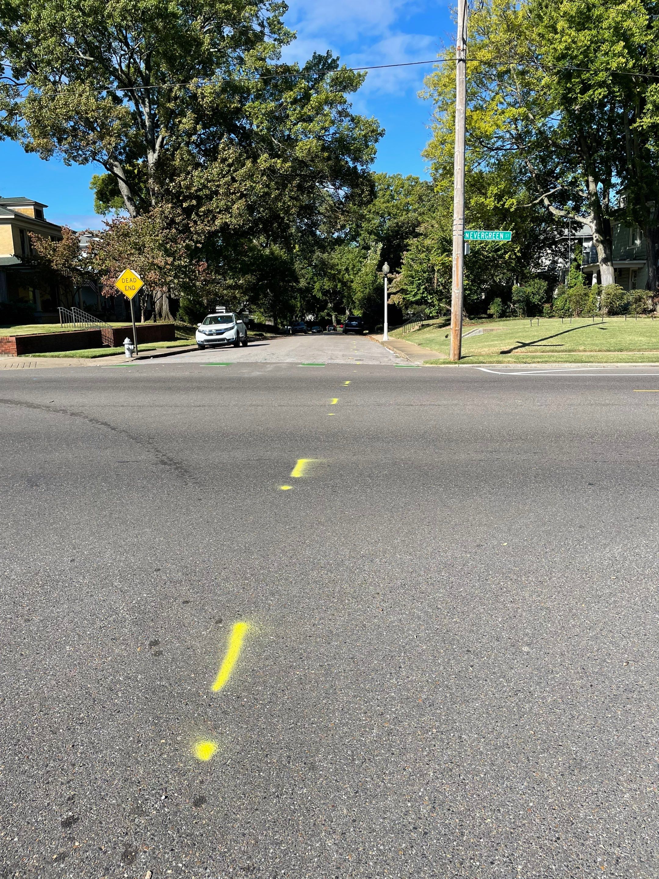 Utility Locate for Survey Purposes by Alsip Locating Service, LLC