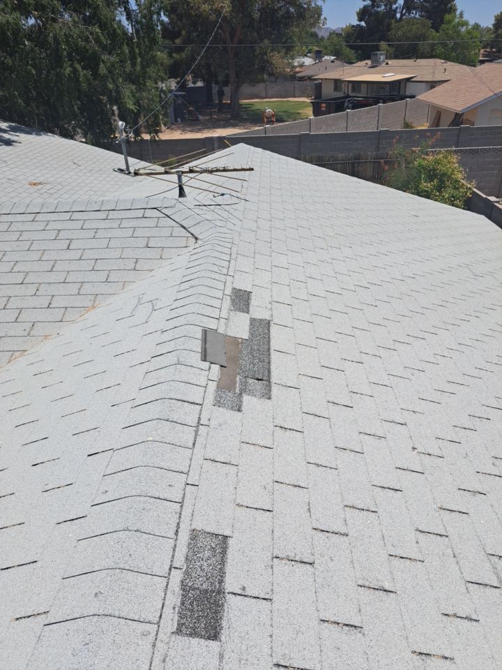 Silver Birch Shingles by Reimagine Roofing