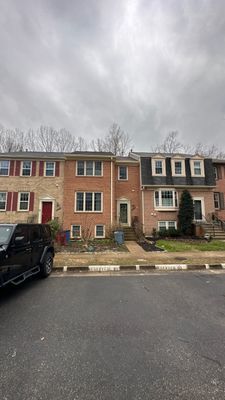 West Springfield: Major Tree Damage Restoration