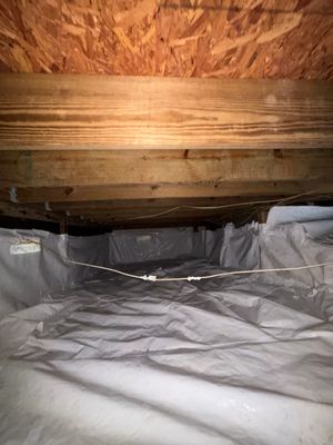 Biohazard Crawlspace