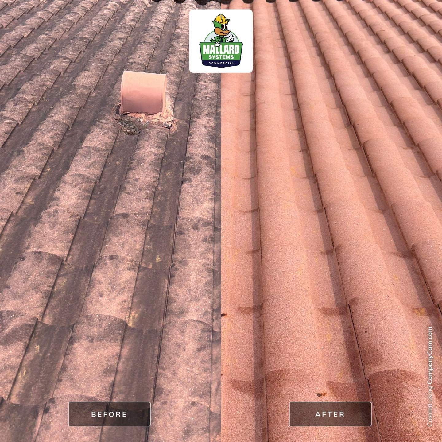 Professional Tile Roof Cleaning in Longwood by Mallard Systems
