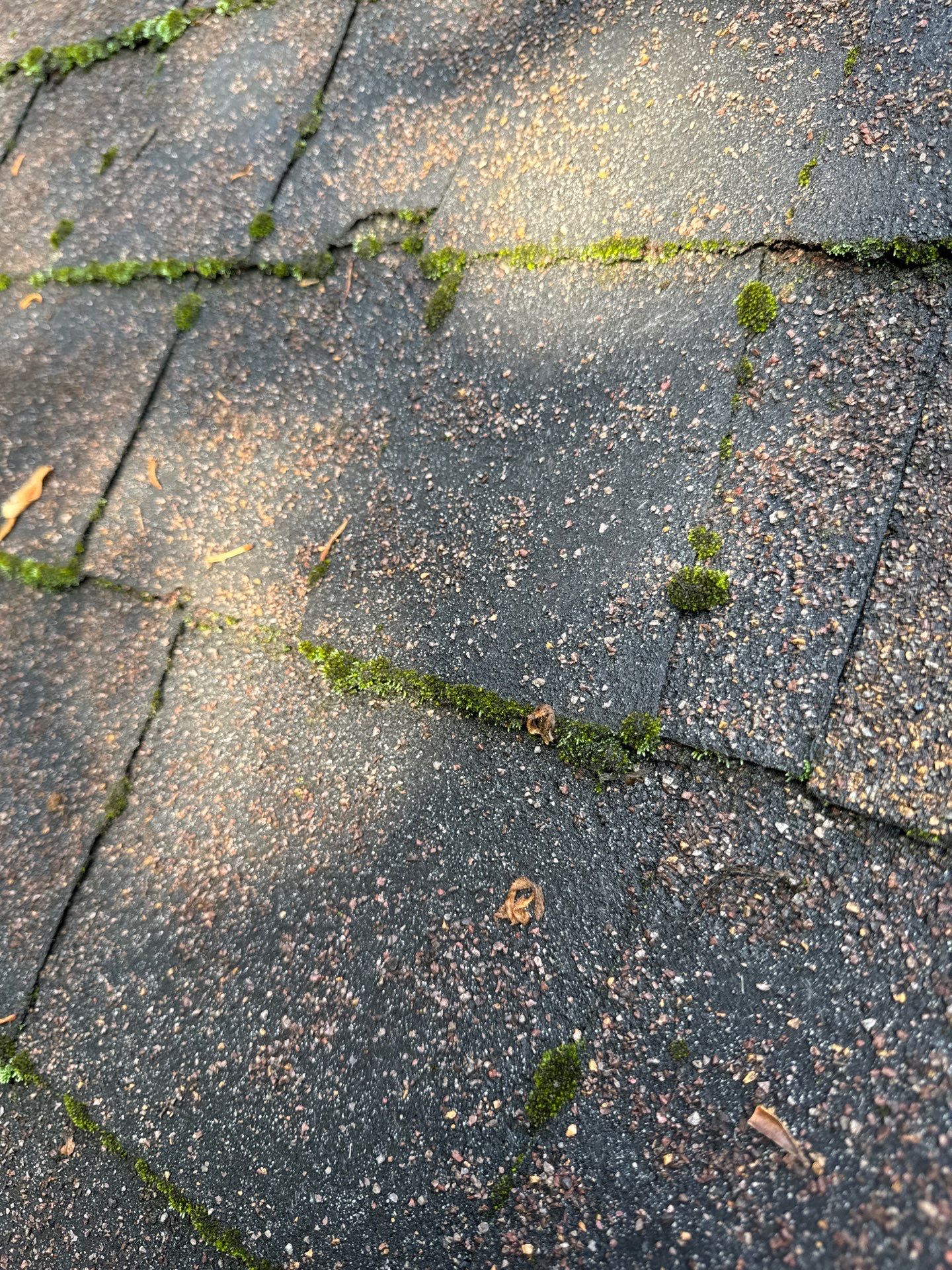The Pierces by United Contracting and Roofing