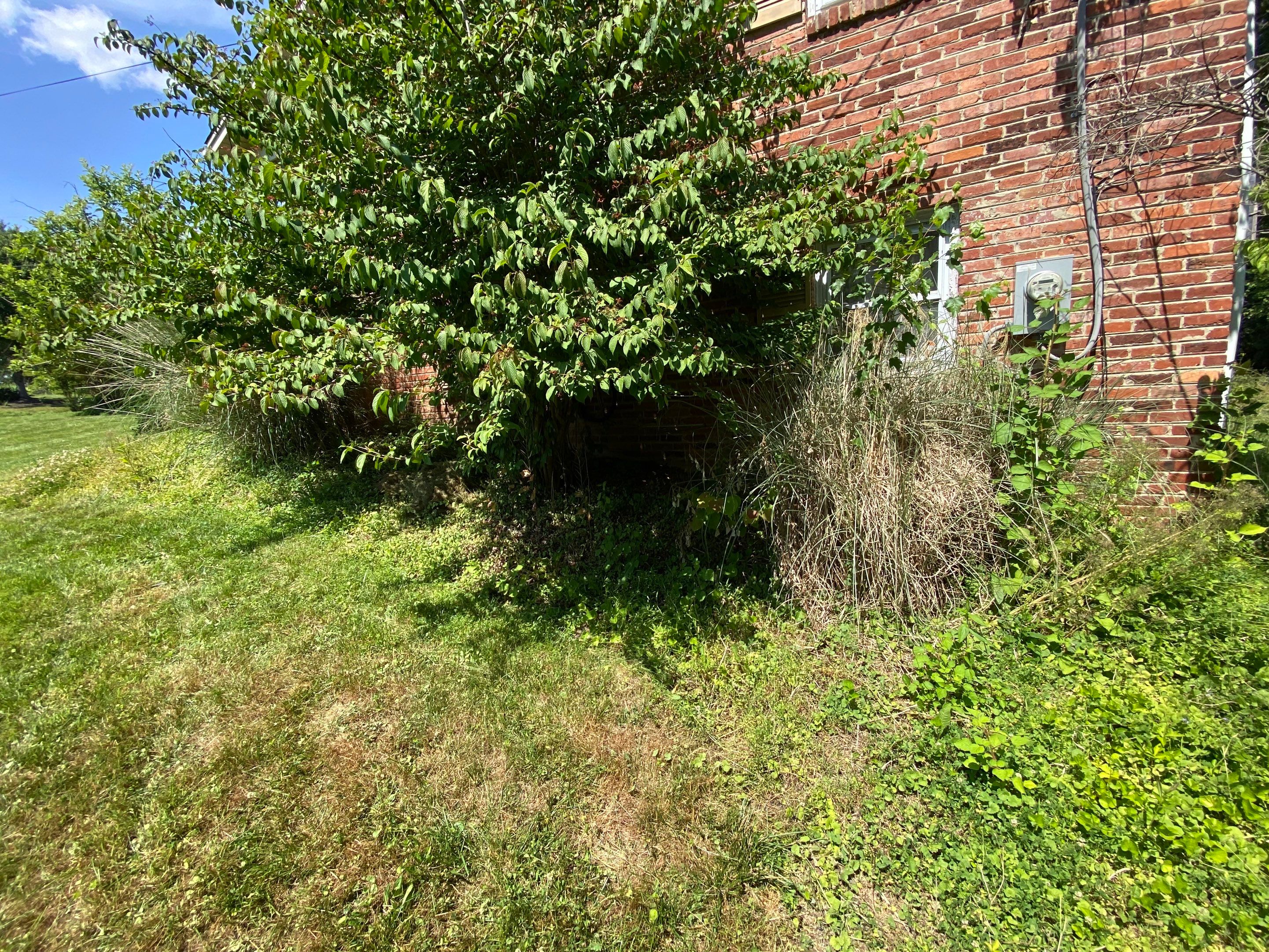 Landscape cleanup by The Smet Companies, LLC