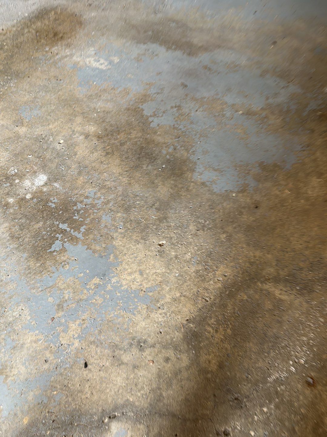 Porch, steps and Garage Project in Crafton by Floors in a Day, Inc