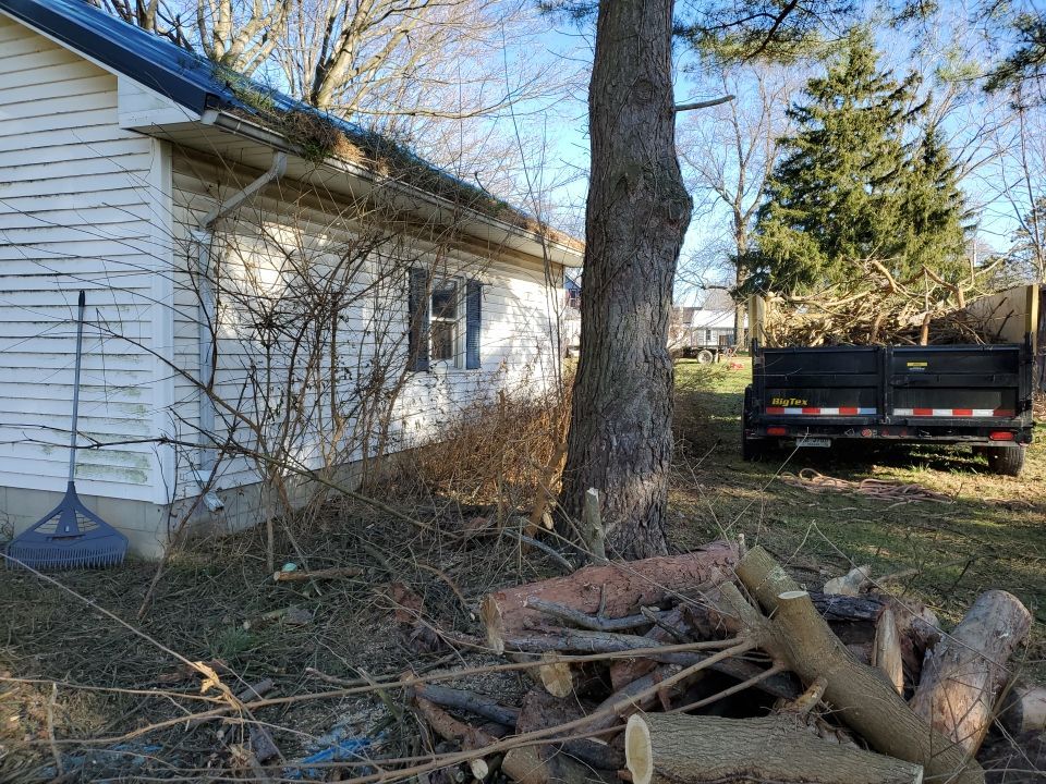 Storm Damaged Tree Removal  using Tree Removal by Mike Jones & Sons Tree Service LLC 
