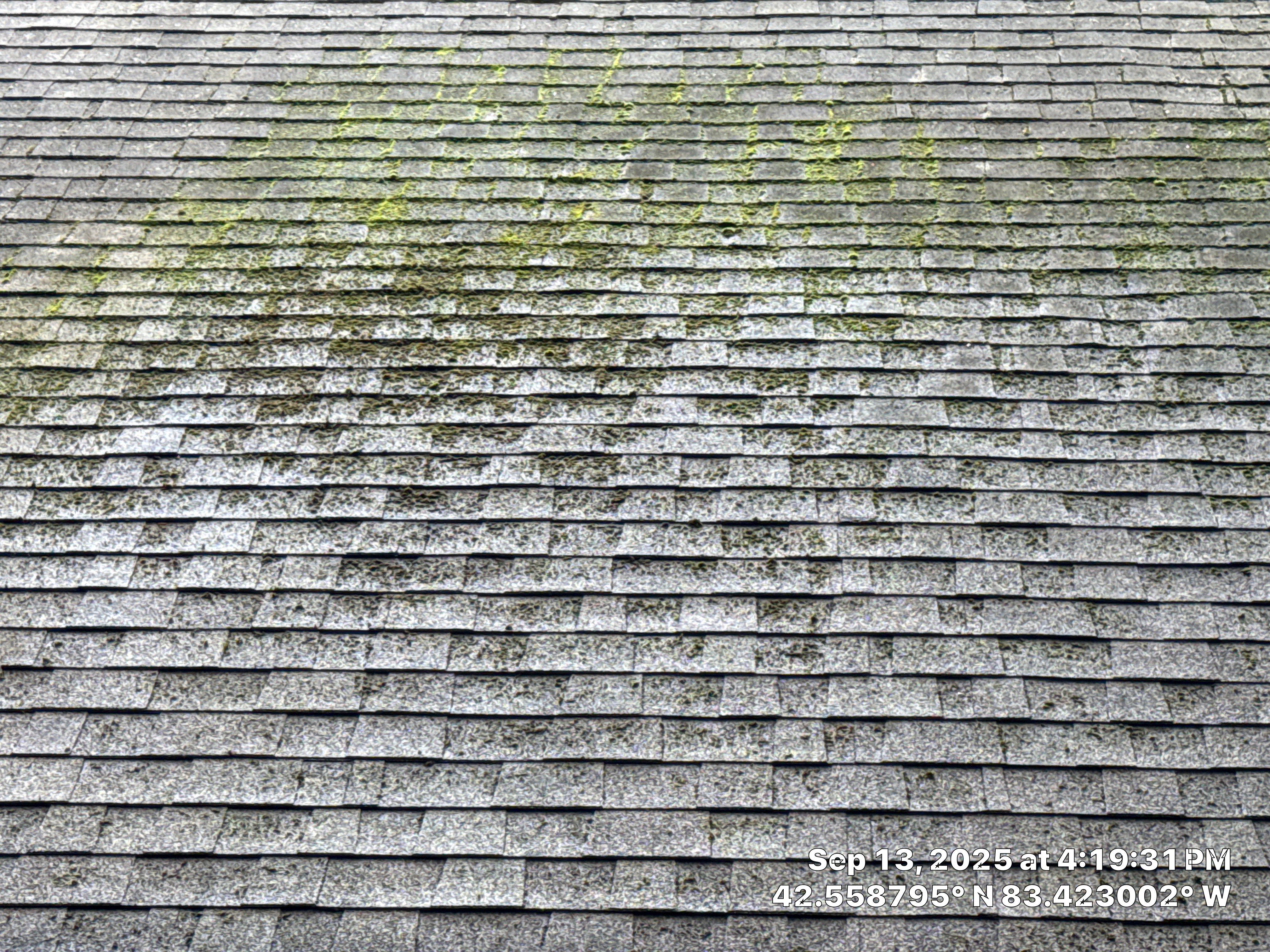 Roof Repair In West Bloomfield by EverNew Roofing 