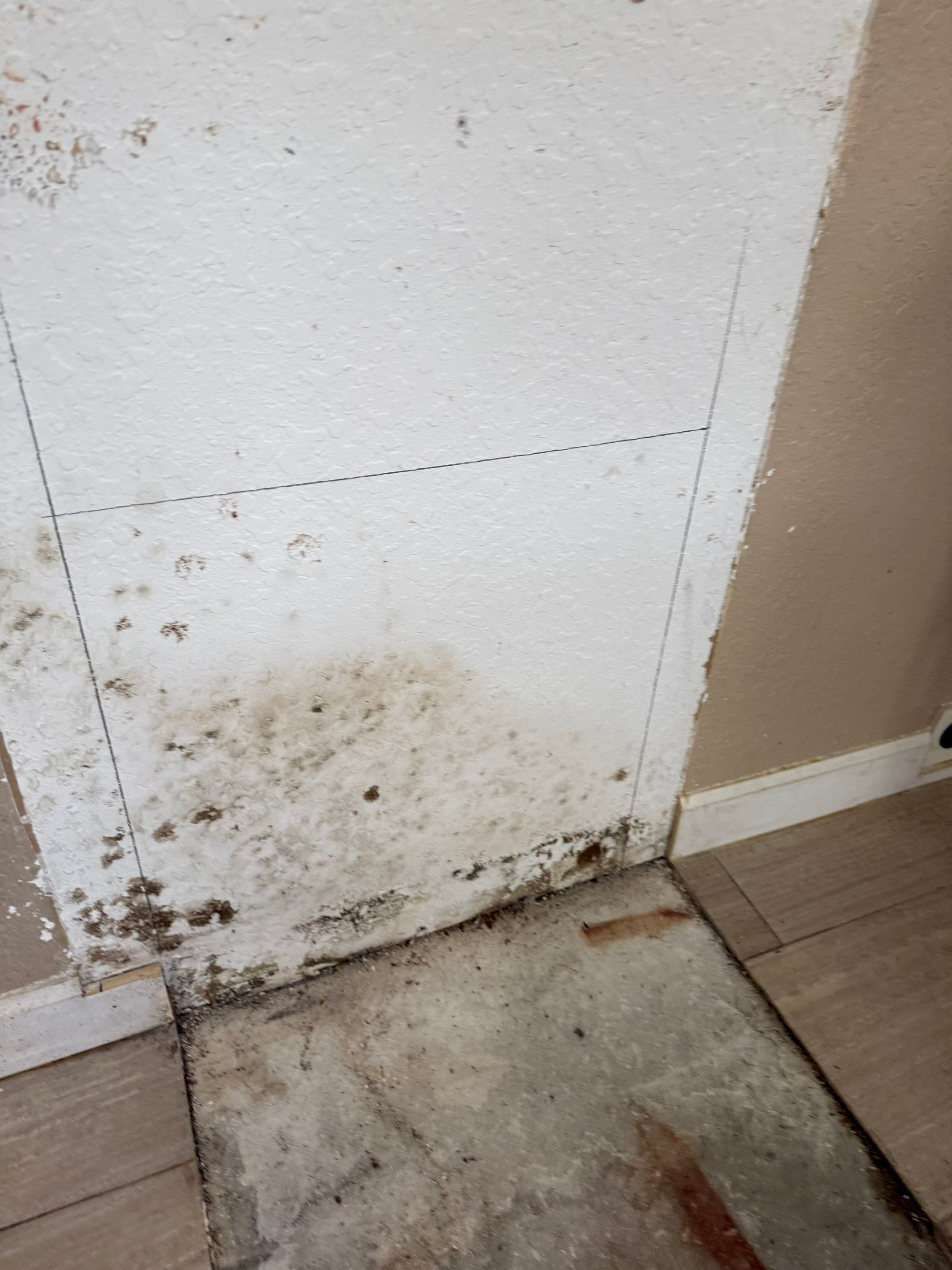 Project in Ocala by You Restorations LLC DBA YOU-Home