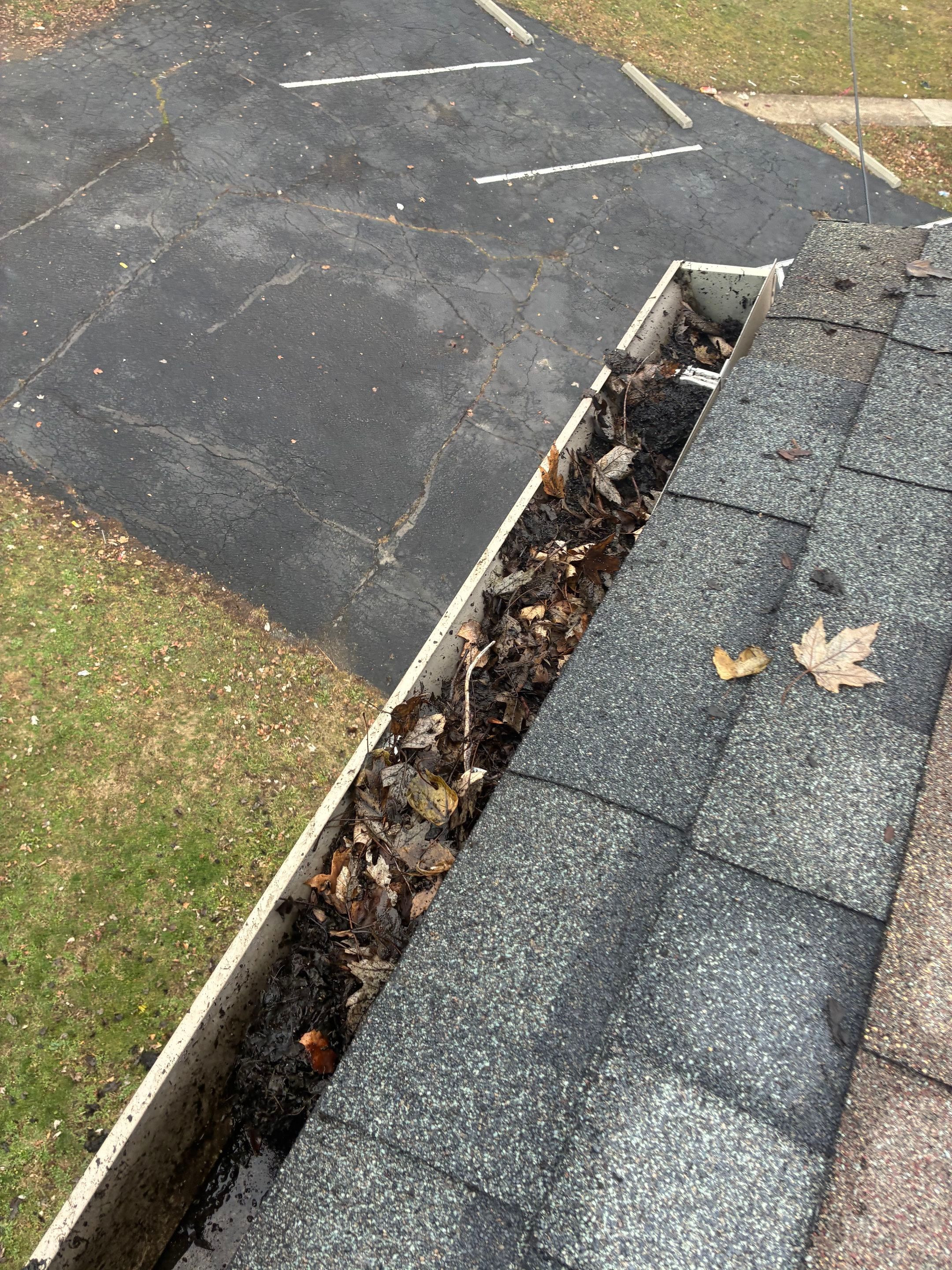 Commercial gutter cleaning Columbus before photo with filled gutters