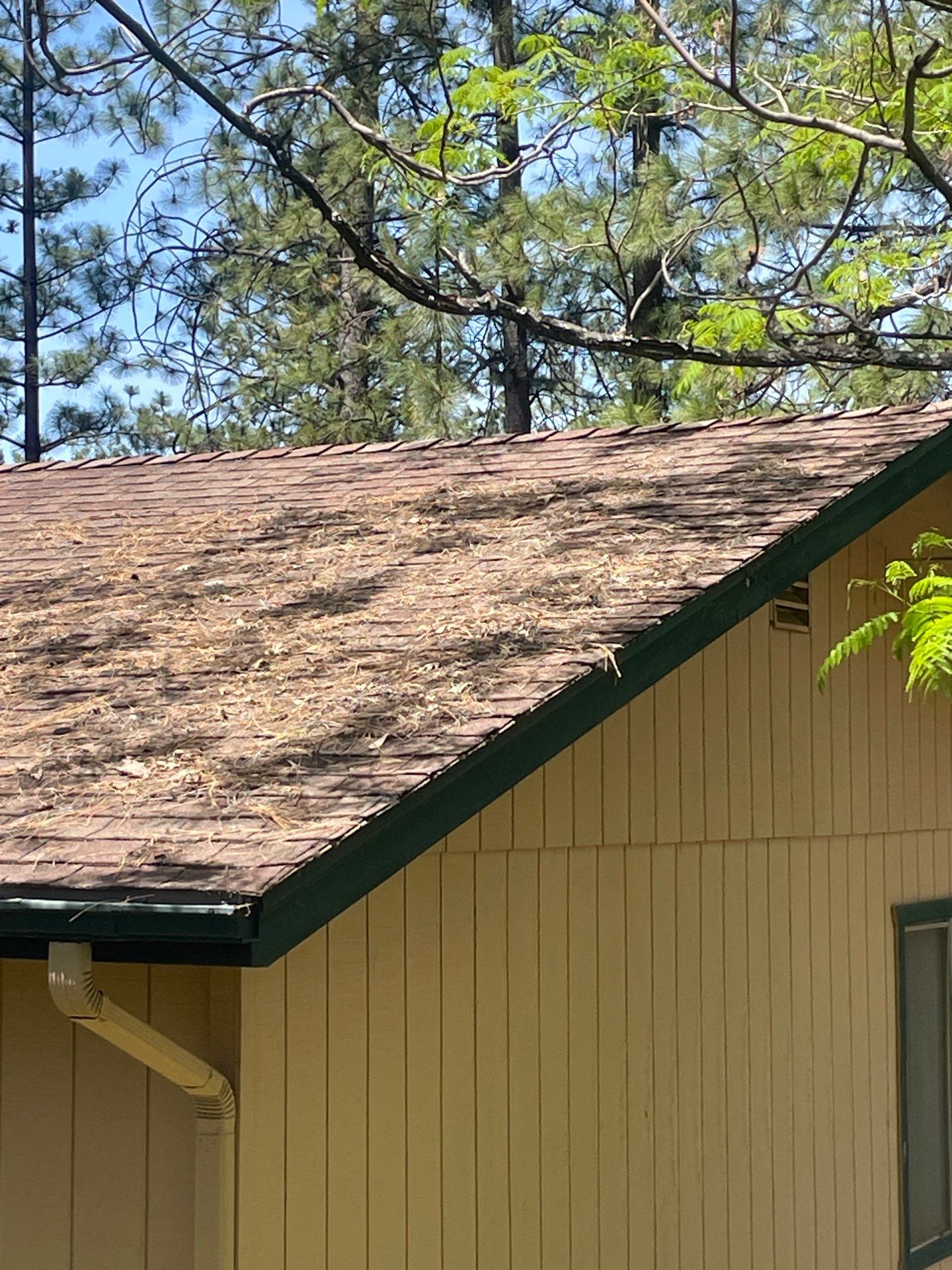 Roof Rejuvenation using Roof Maxx Treatment by Roof Maxx of Folsom