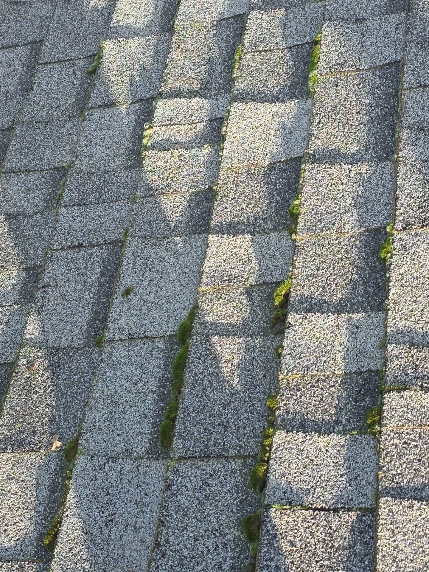 Roof Rejuvenation using Roof Maxx Treatment by Roof Maxx of Folsom