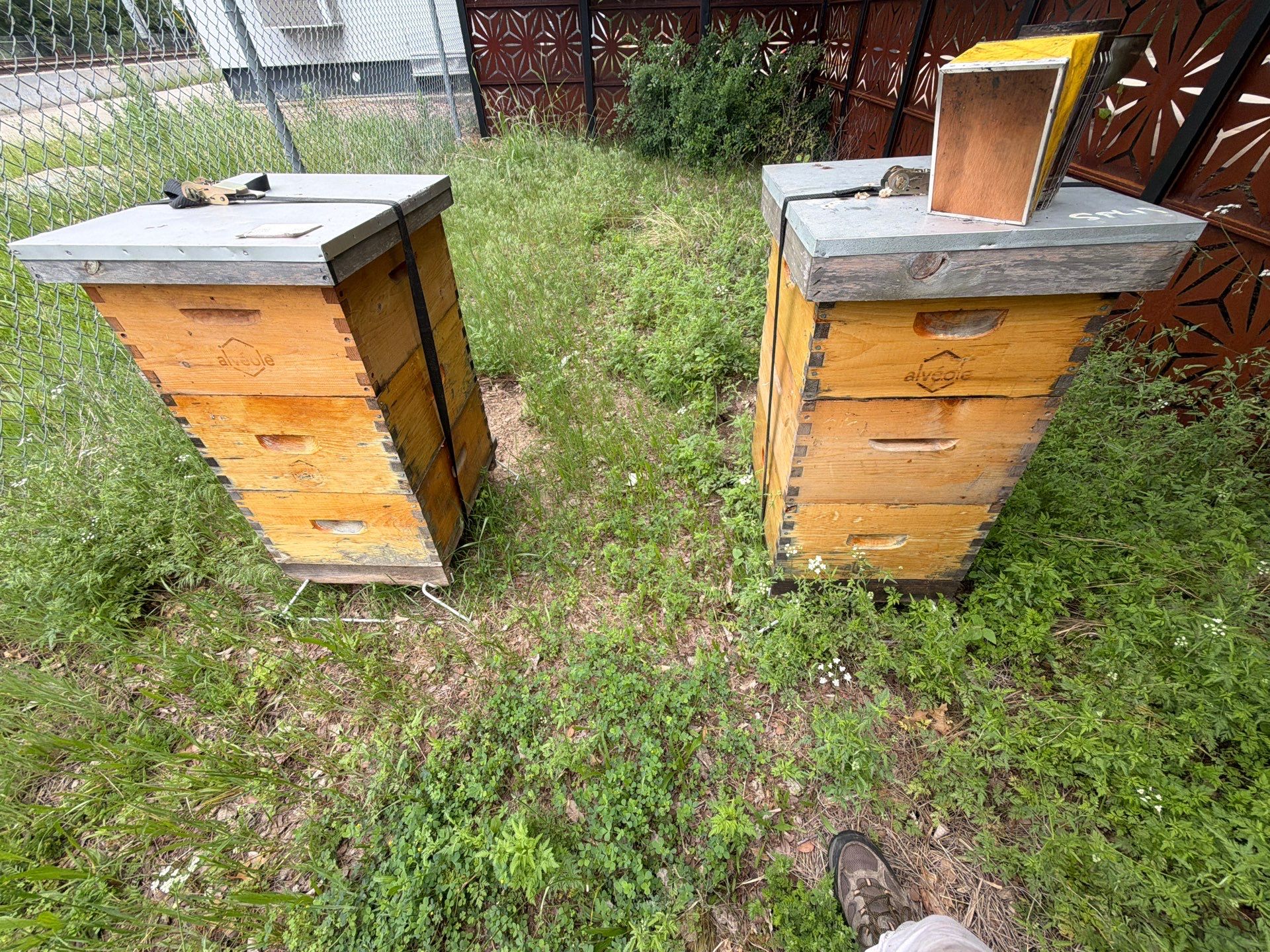 Apartments on the Trails by Rockwall Honey Bee Company