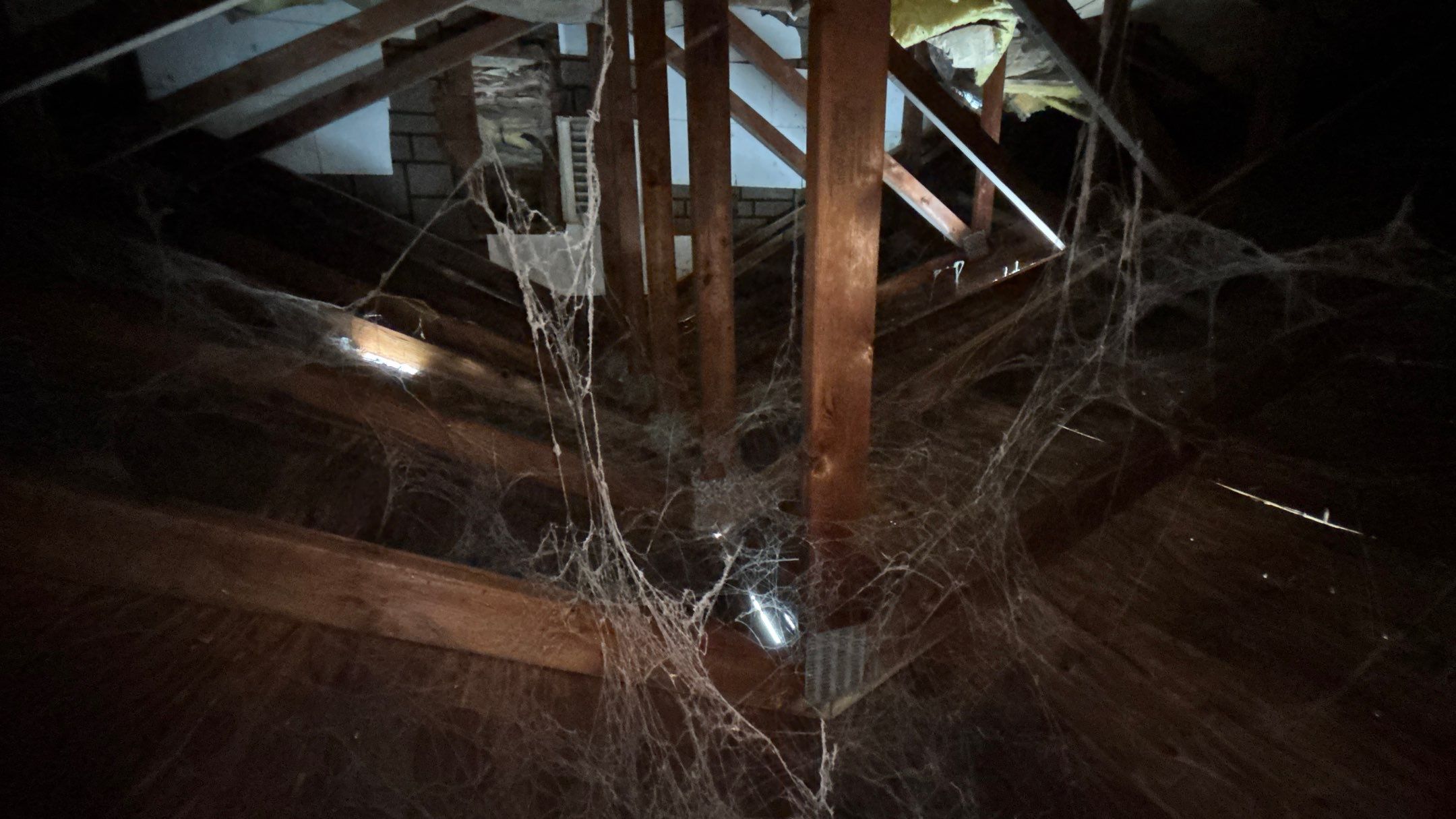 Roof Replacement using Owens Corning Midnight Plum by 180 Contractors