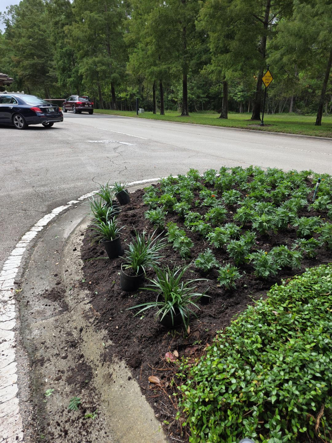 Deerwood Community | Baymeadows Gate by ProGreen Services
