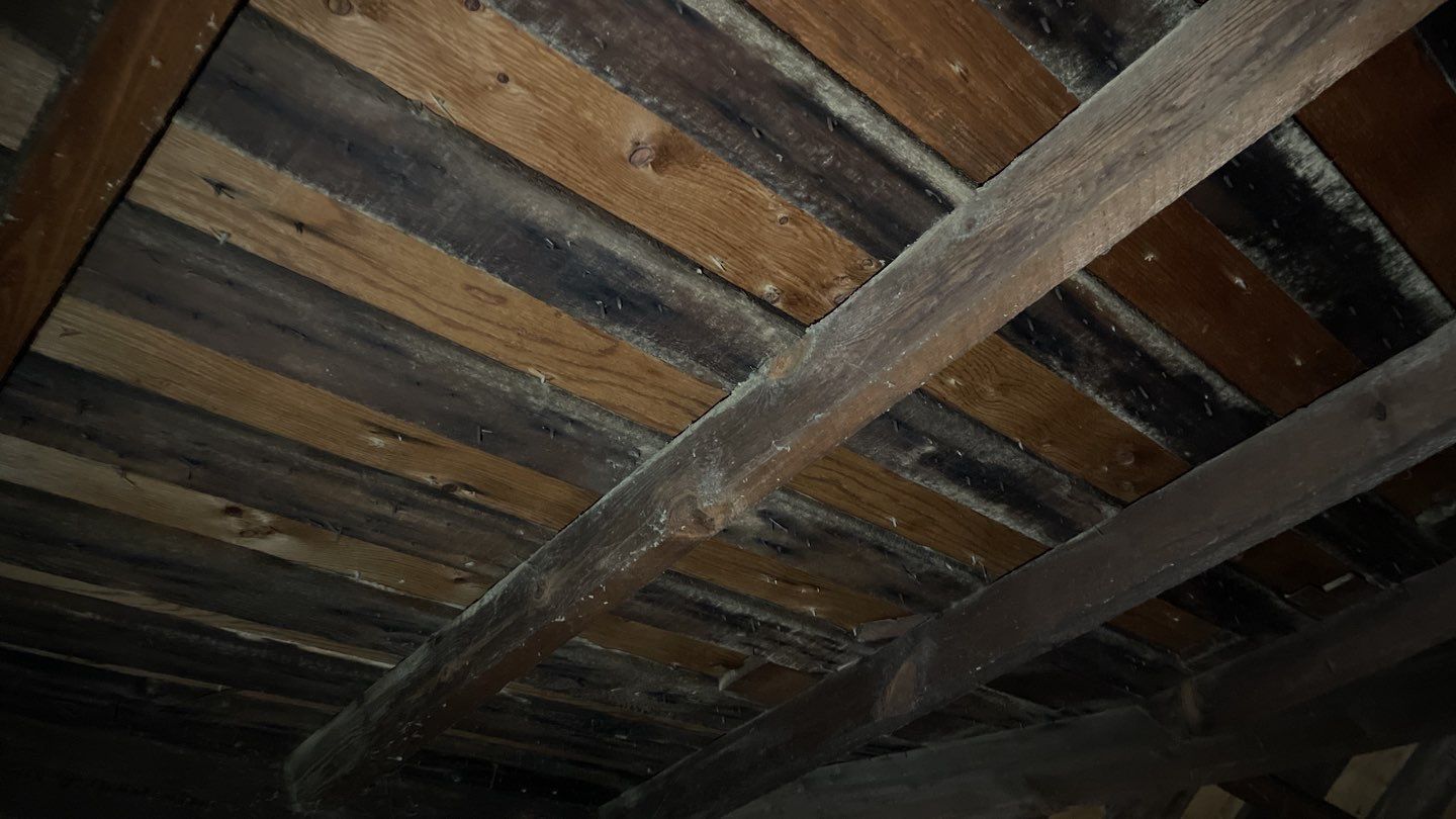 Barnaby Ofori by Constructive Project Management