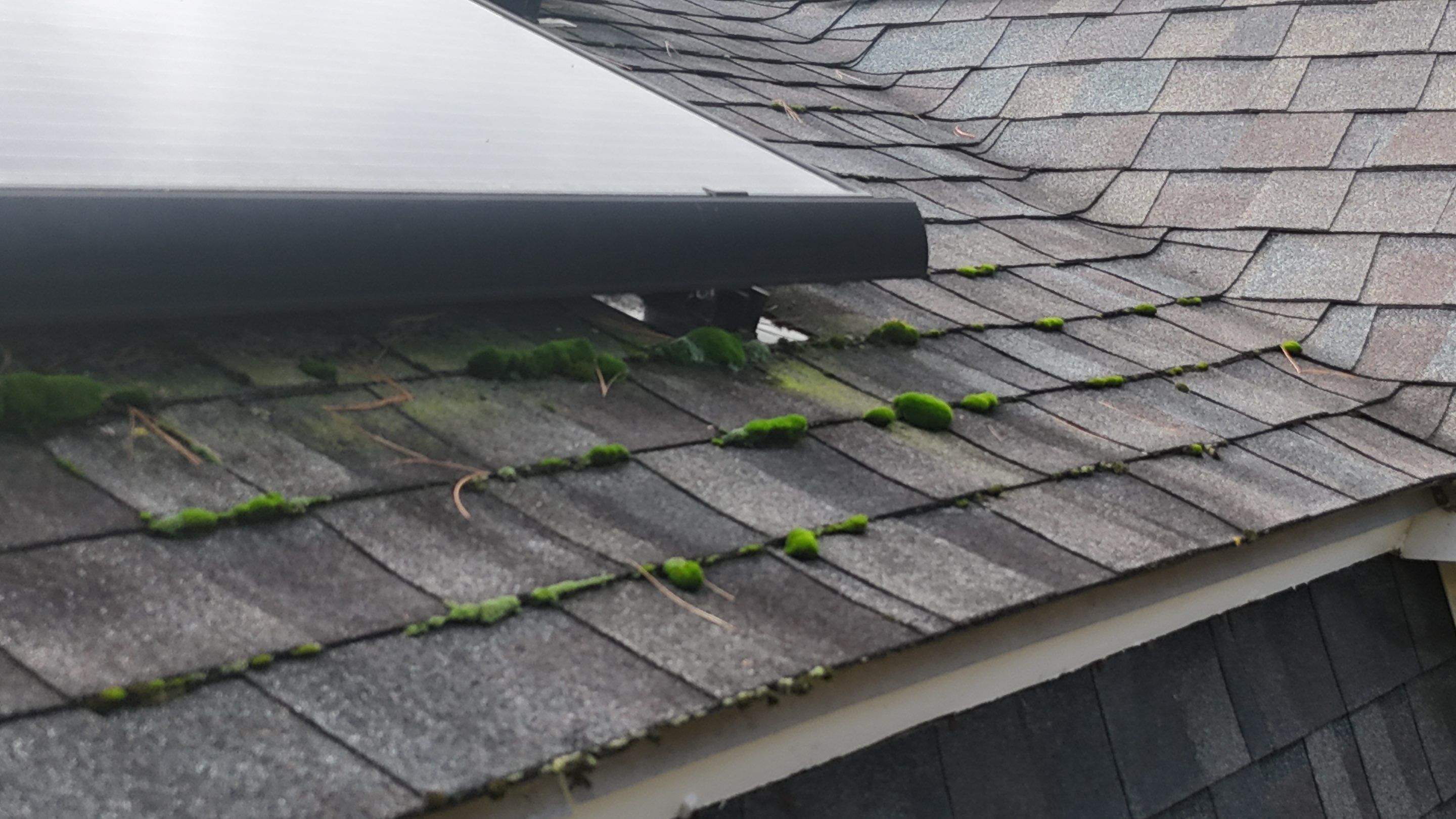 Westford Roof Repair: 1 Square Damaged Section Replacement by Mighty Dog Roofing of Greater Middlesex County