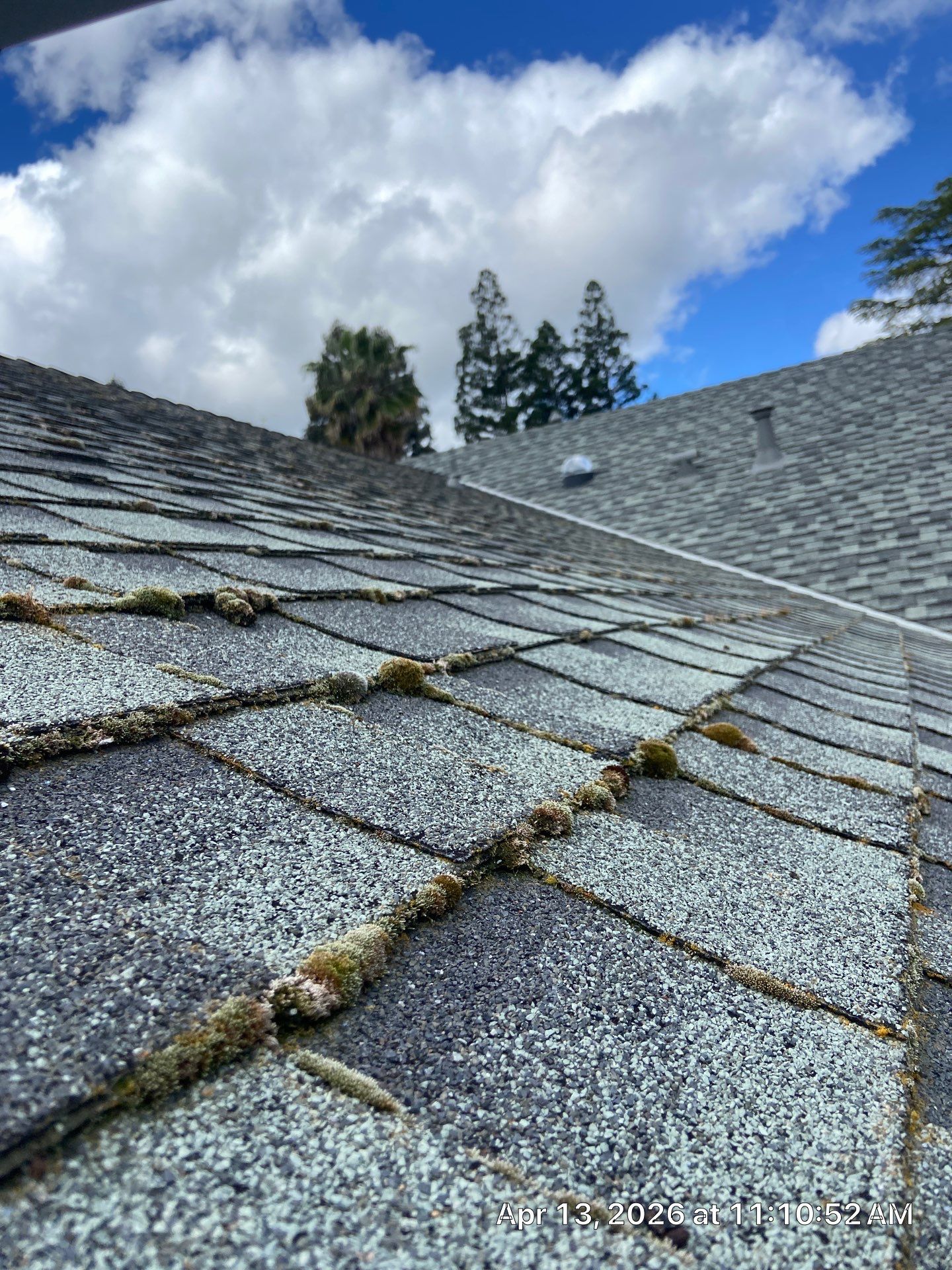 Roof Rejuvenation using Roof Maxx Treatment by Roof Maxx of Folsom