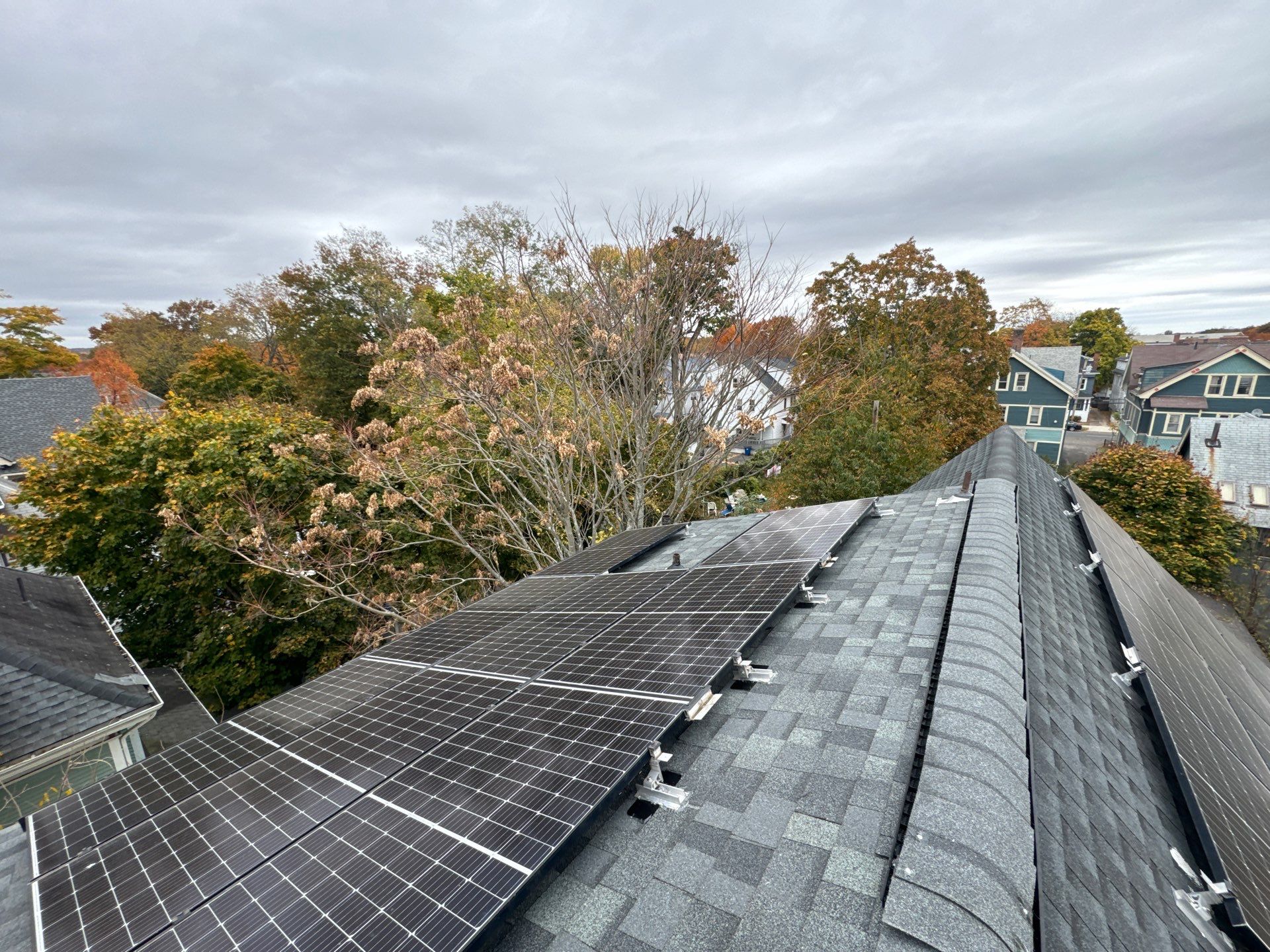 Silver Birch Shingles by Reimagine Roofing