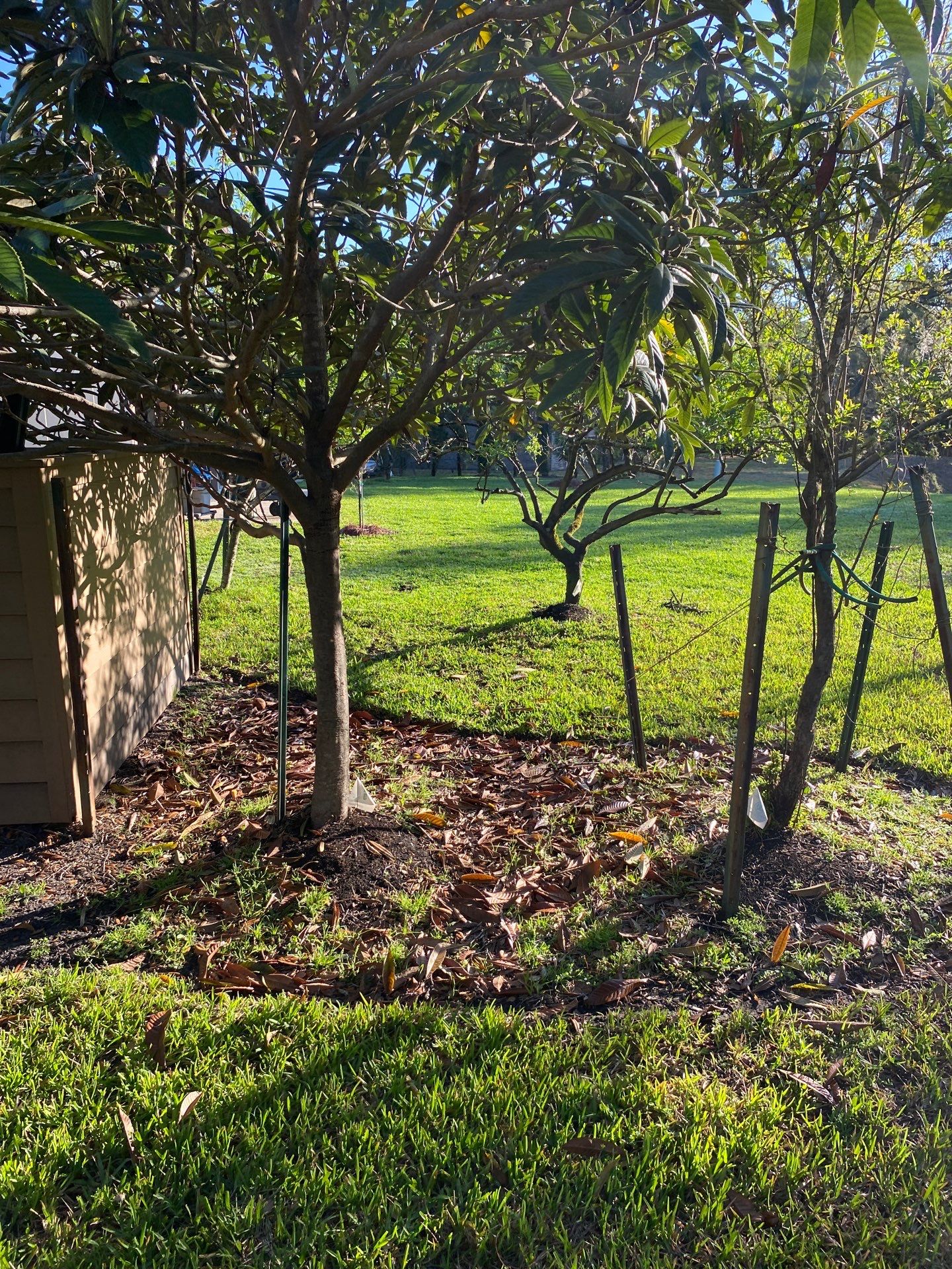 Deerwood Resident | Landscaping by ProGreen Services