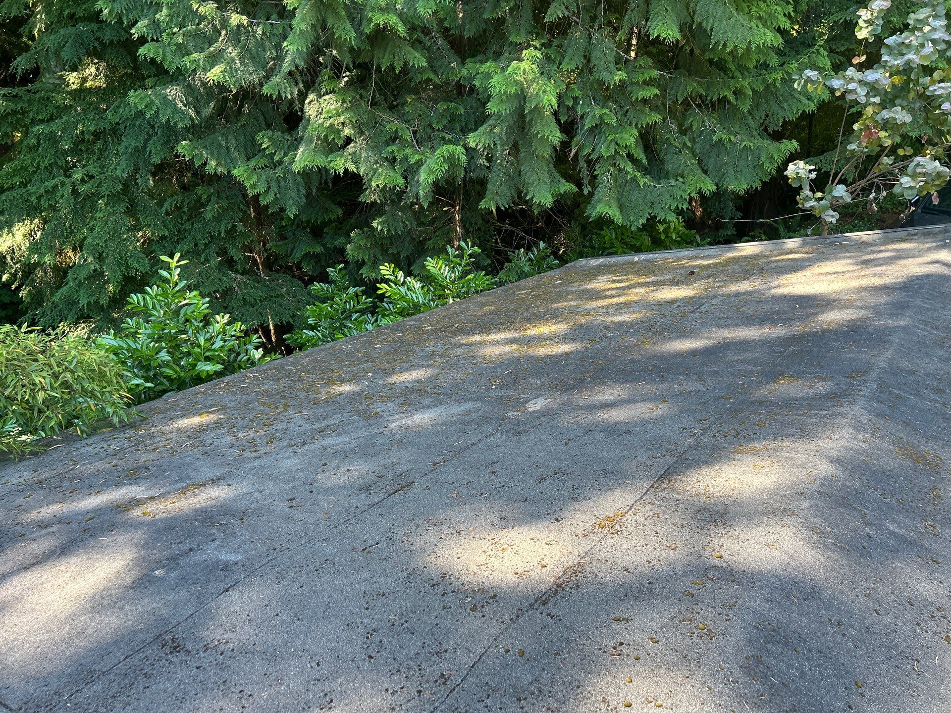 Project in Seattle by Peaks and Valleys Construction