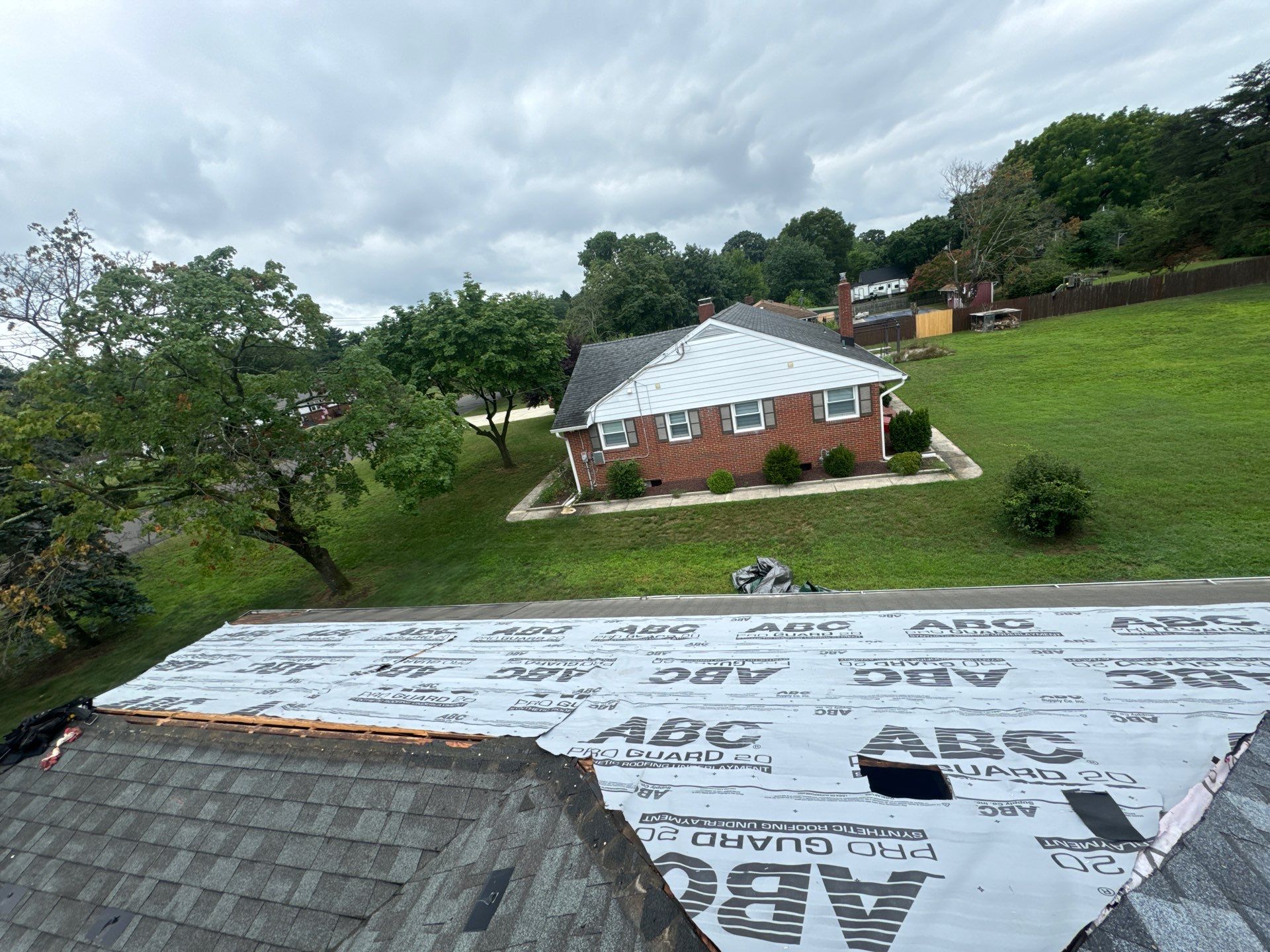 Silver Birch Shingles by Reimagine Roofing