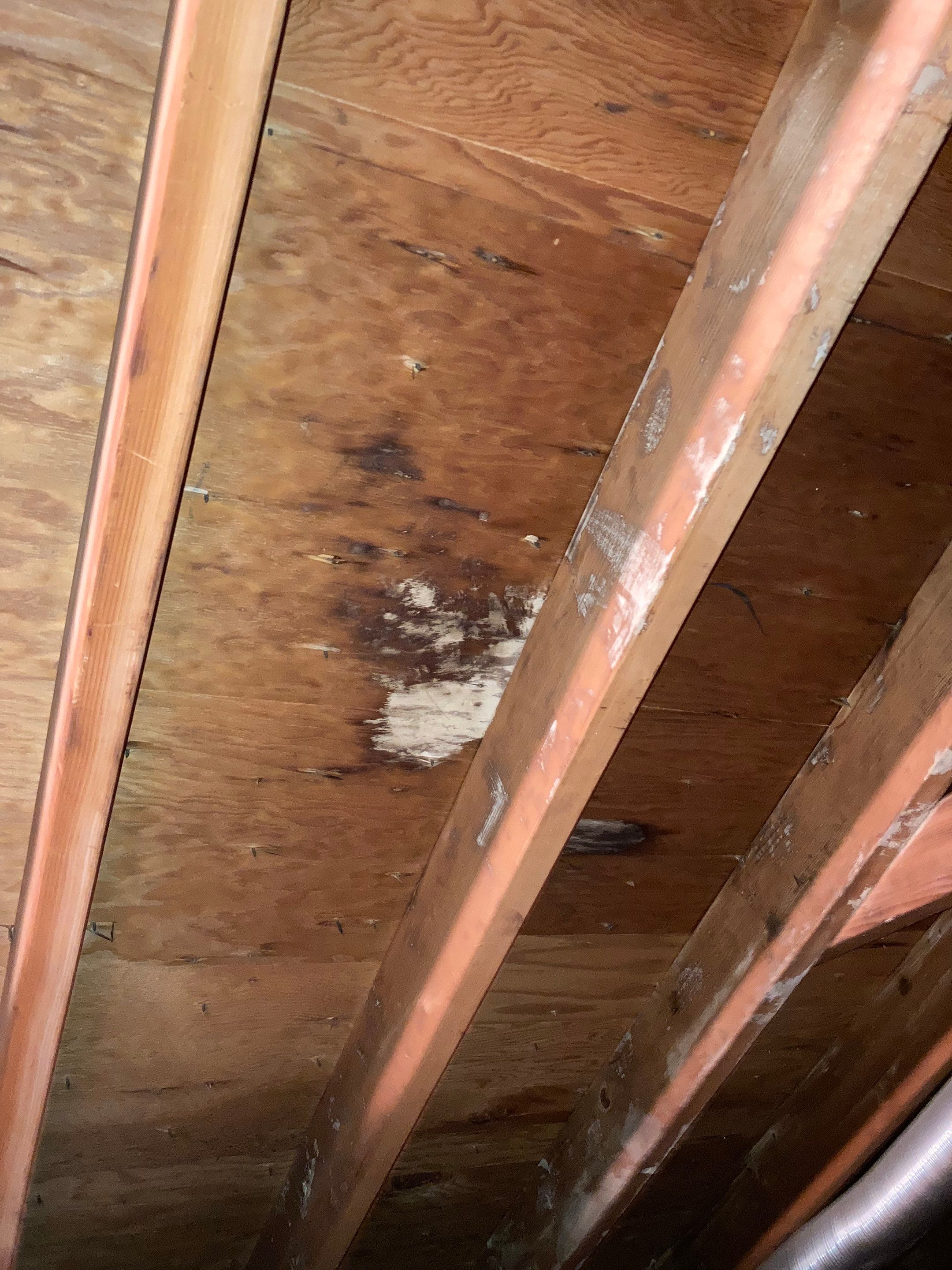 Residential Roof Replacement using Owens Corning, Desert Rose by Absolute Roofing and Construction