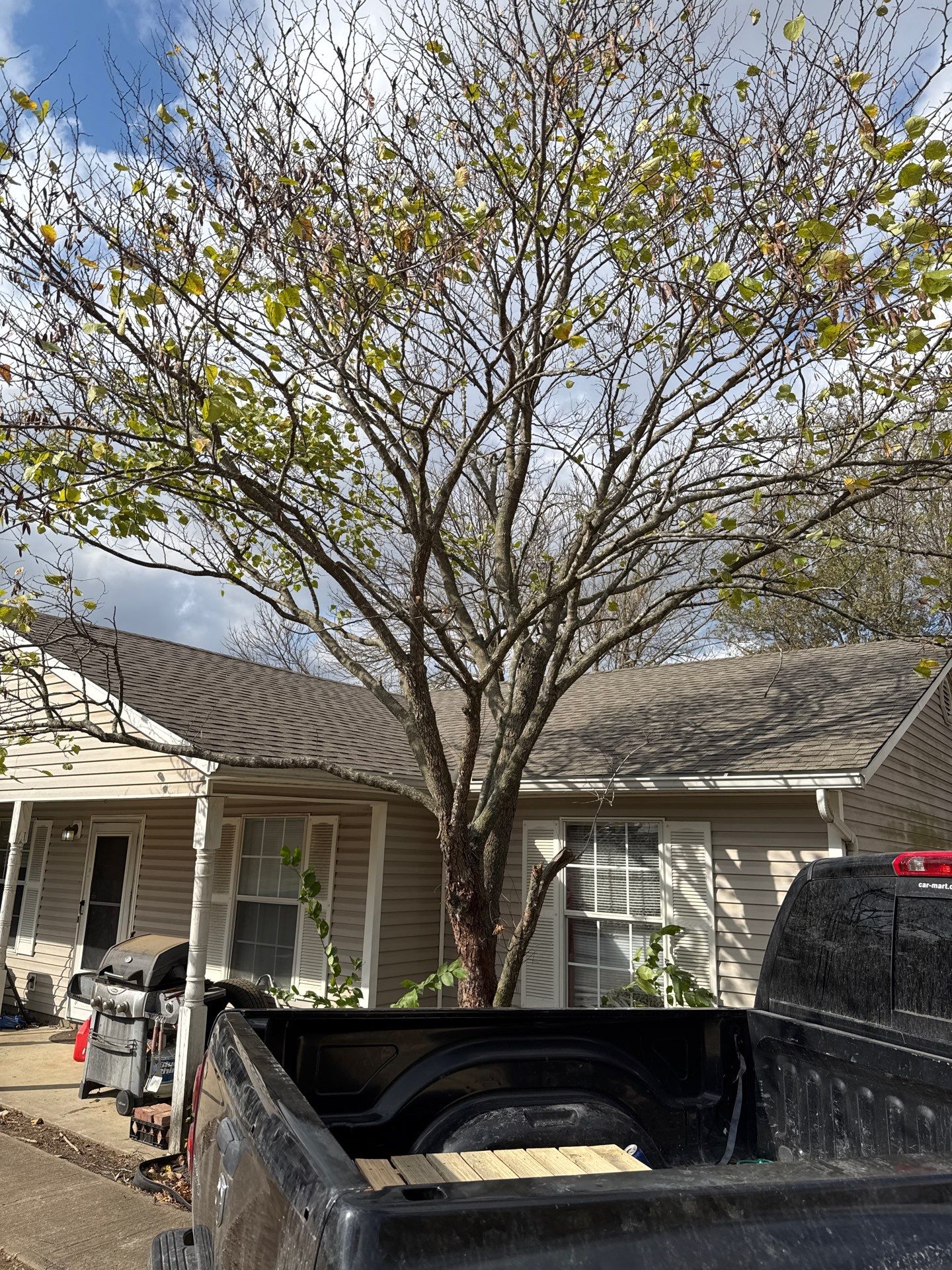 Replaced roofing system after last year's hailstorm.  by In & Out Construction & Remodeling, LLC