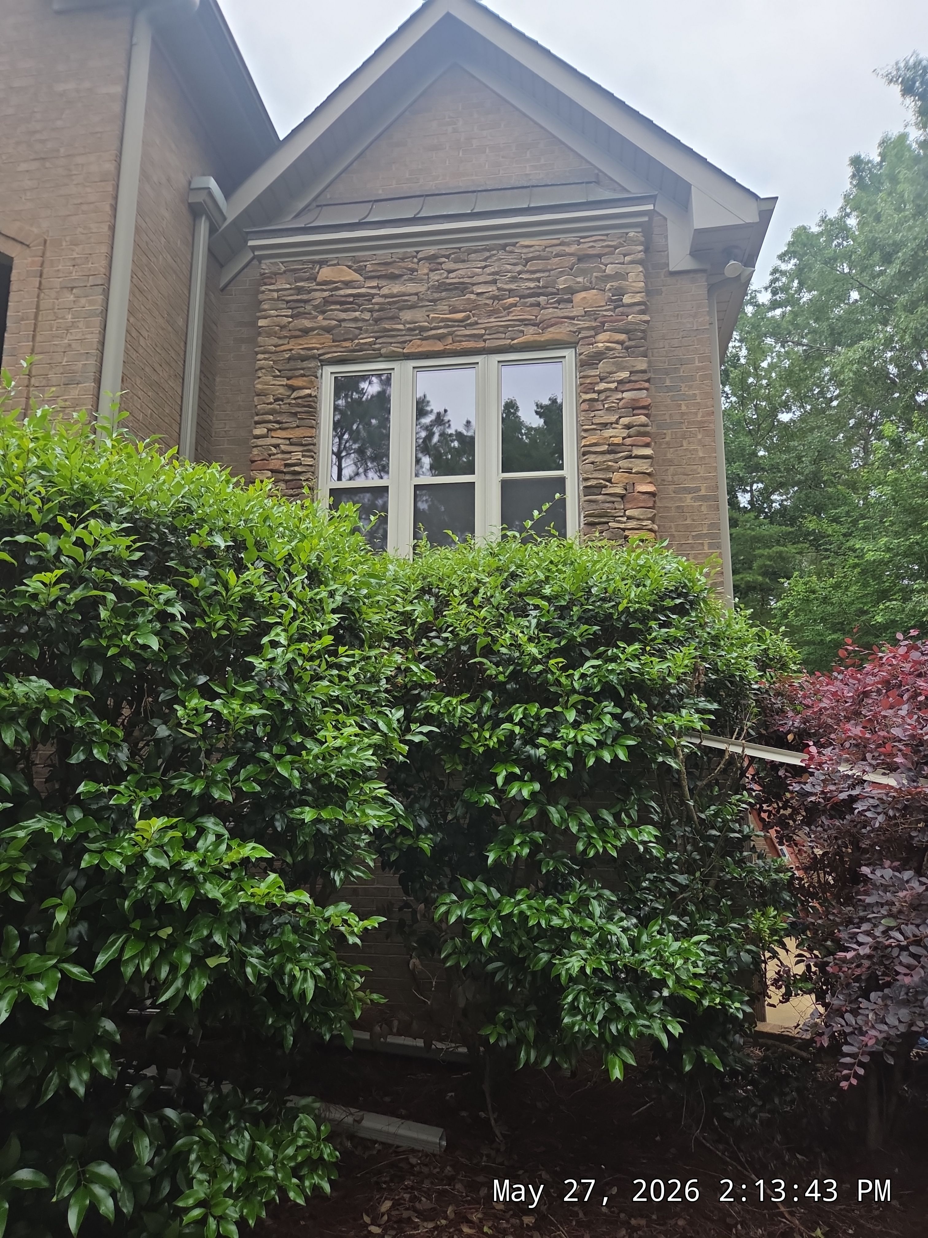 Bruner Project in Helena by The Window Source