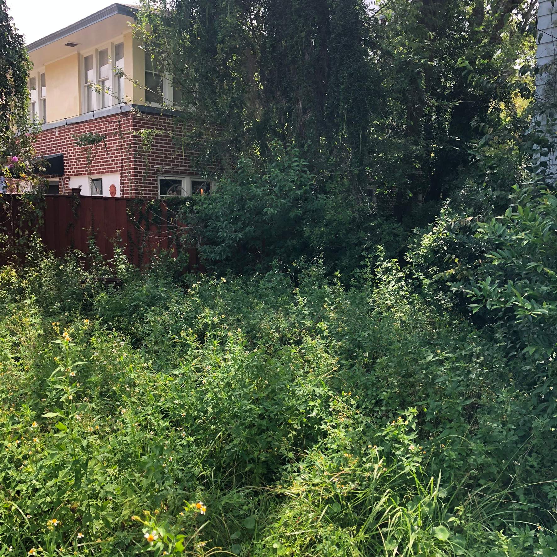 Extreme Clean Up | Riverside Area by ProGreen Services